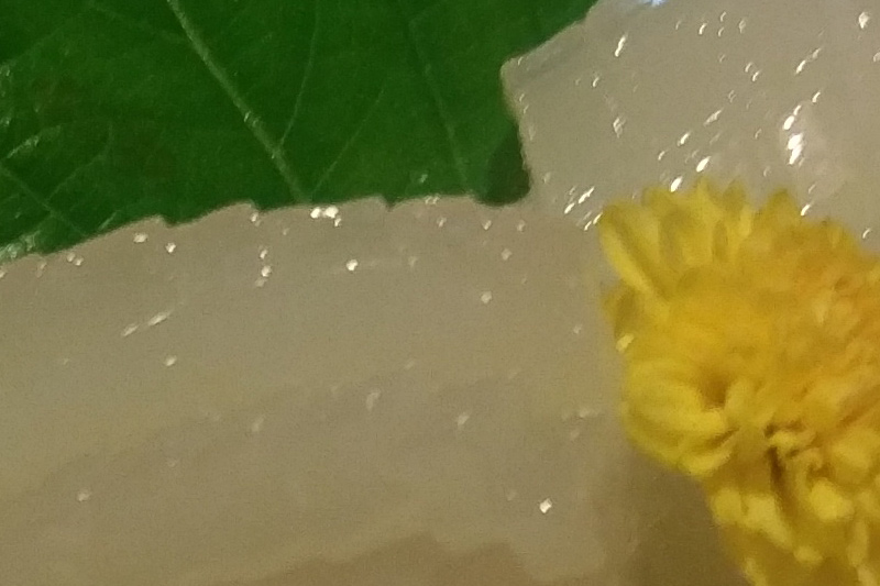 居酒屋の薄暗い環境で撮影したため切り出すとブレているが、ディテールはHTC 10の方が残っていた