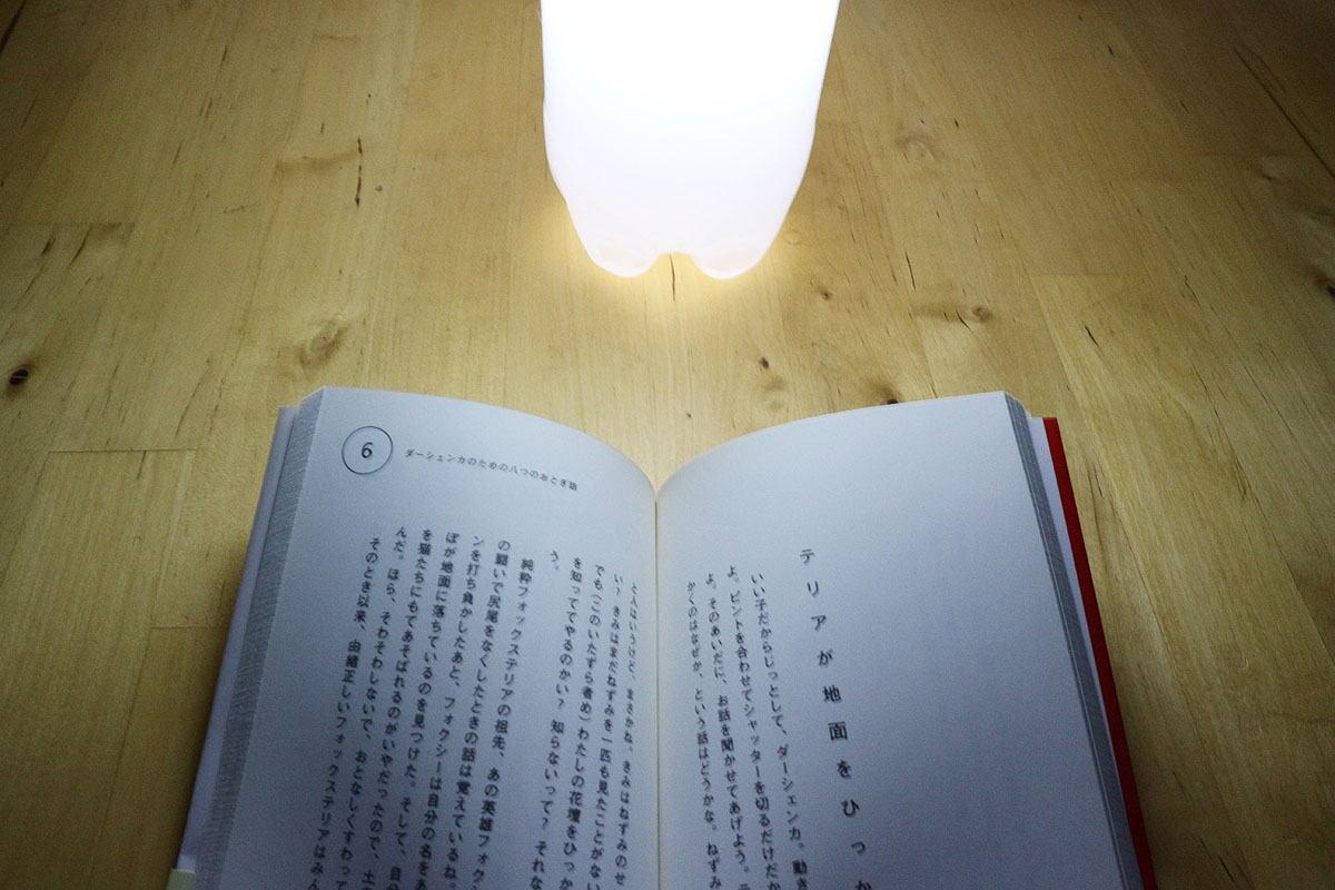 文字もしっかり読める明るさ。