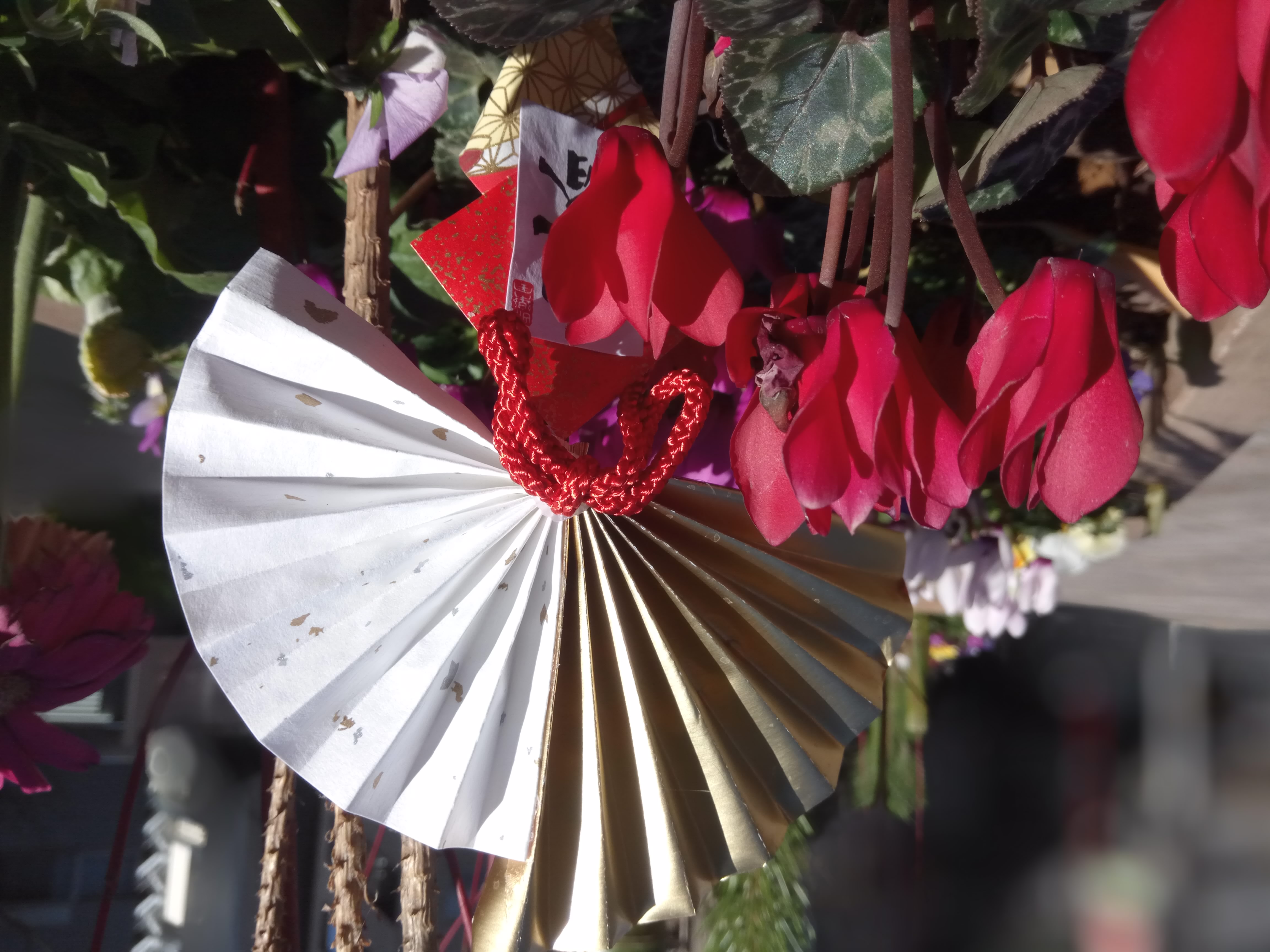 一眼レフモードの撮影サンプル