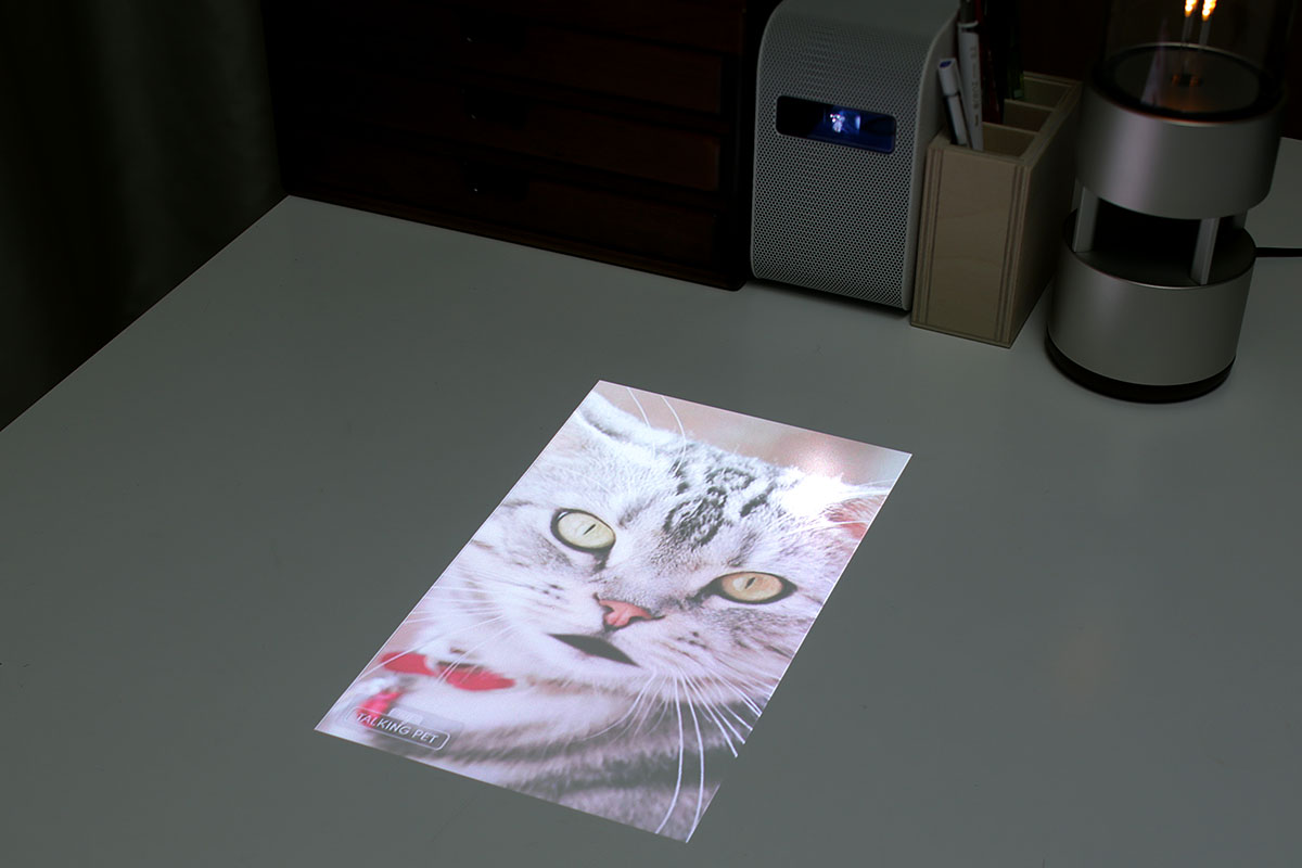 左は冒頭で触れた「オイルランプの動画」です。大写しになるので独特のインパクトがあります。右はアプリで作った「猫が喋る動画」で、人に見せるとウケがイイです。なお、iPhone上の動画を再生する場合、HDMI経由だと「転送が遅いことがある」「動画サイズによっては再生不可能」などの問題も皆無。動画投影はHDMI経由がオススメです。