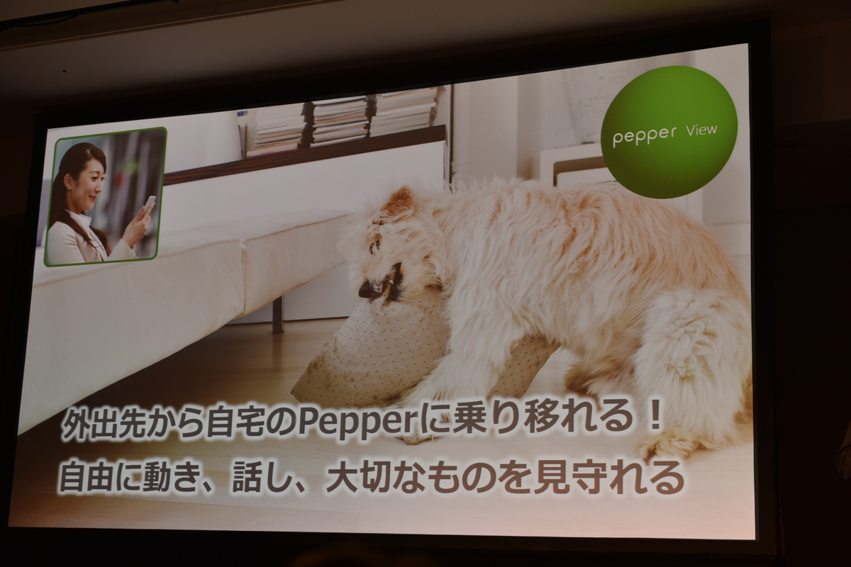 「Pepper View」
