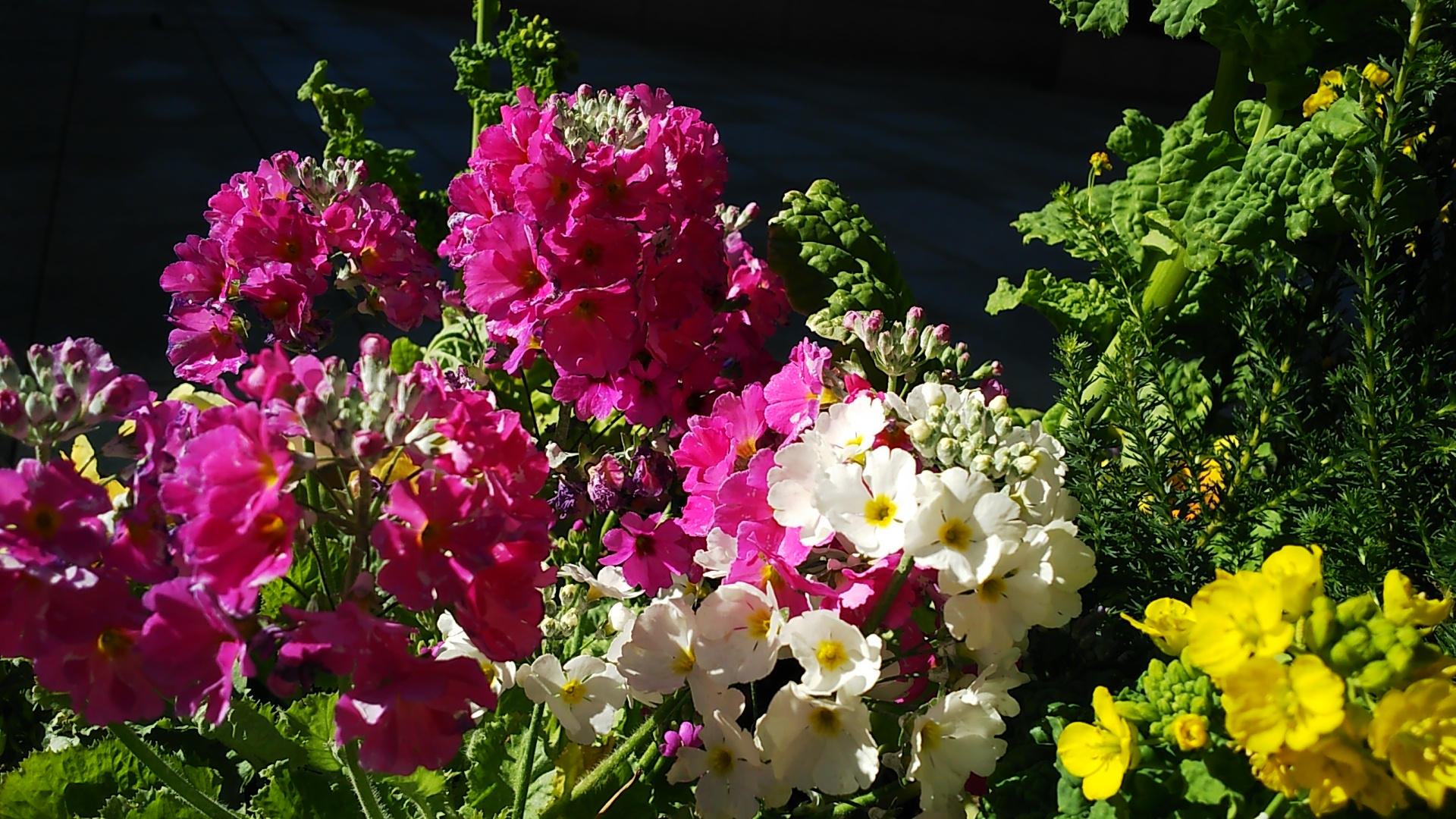 デジタルズーム撮影サンプル。ガラス越しに撮影