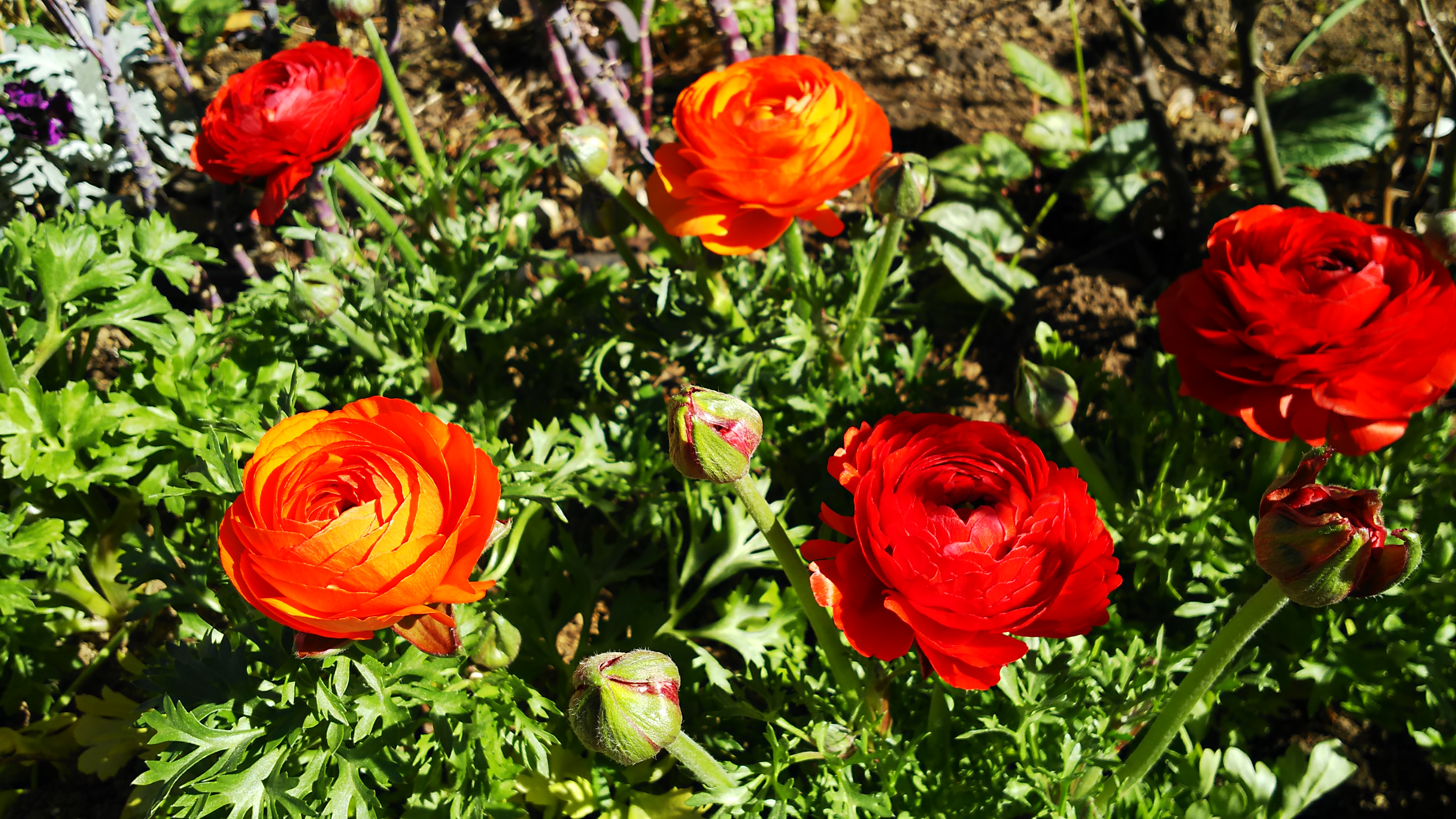 デジタルズーム撮影サンプル。ガラス越しに撮影