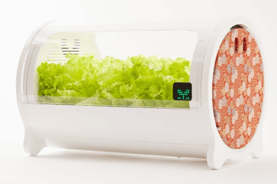 IoT水耕栽培機「foop」に新ラインナップを追加、アプリと 