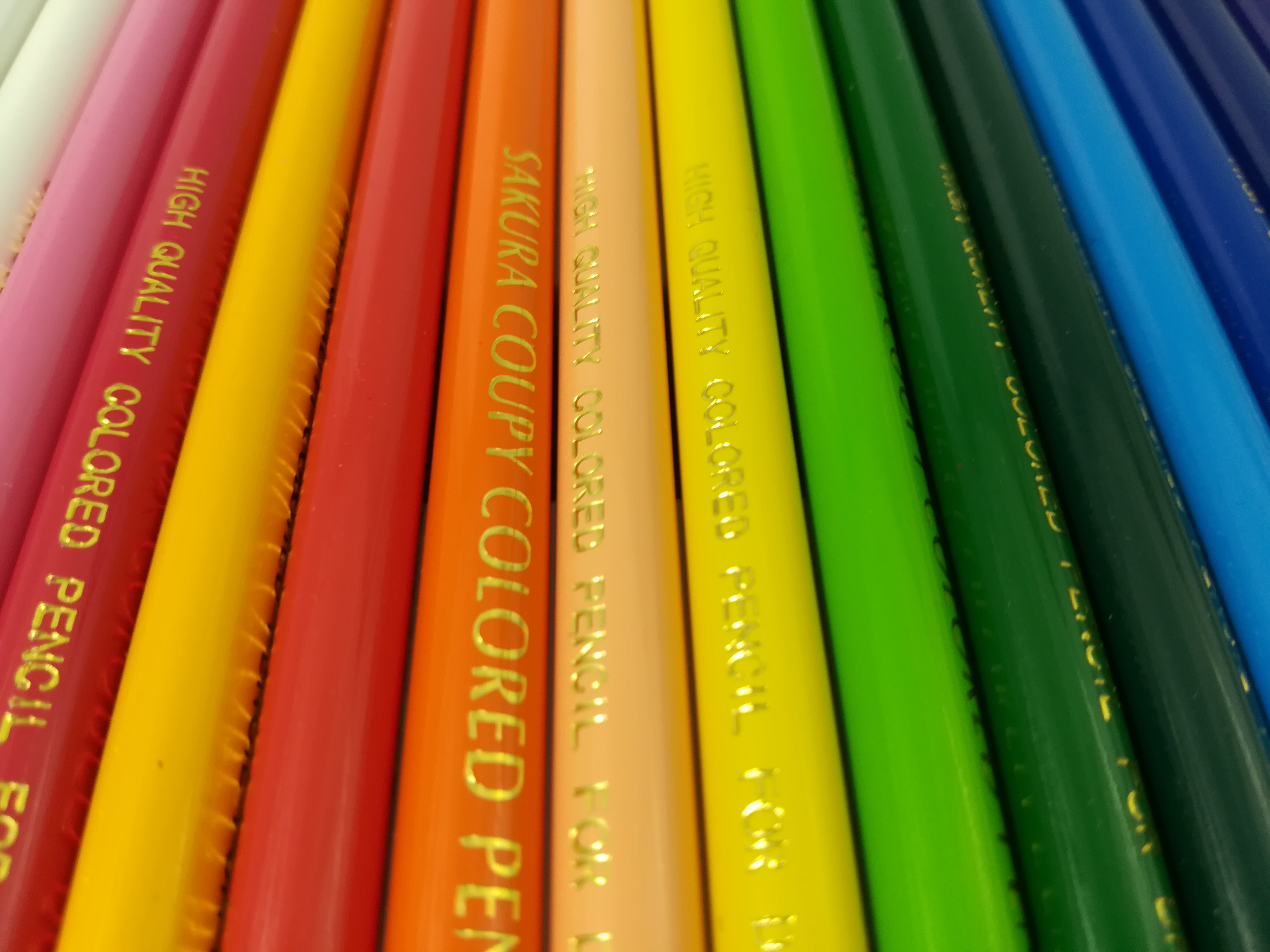 撮影サンプル、3969×2976ドット。リンク先は無加工