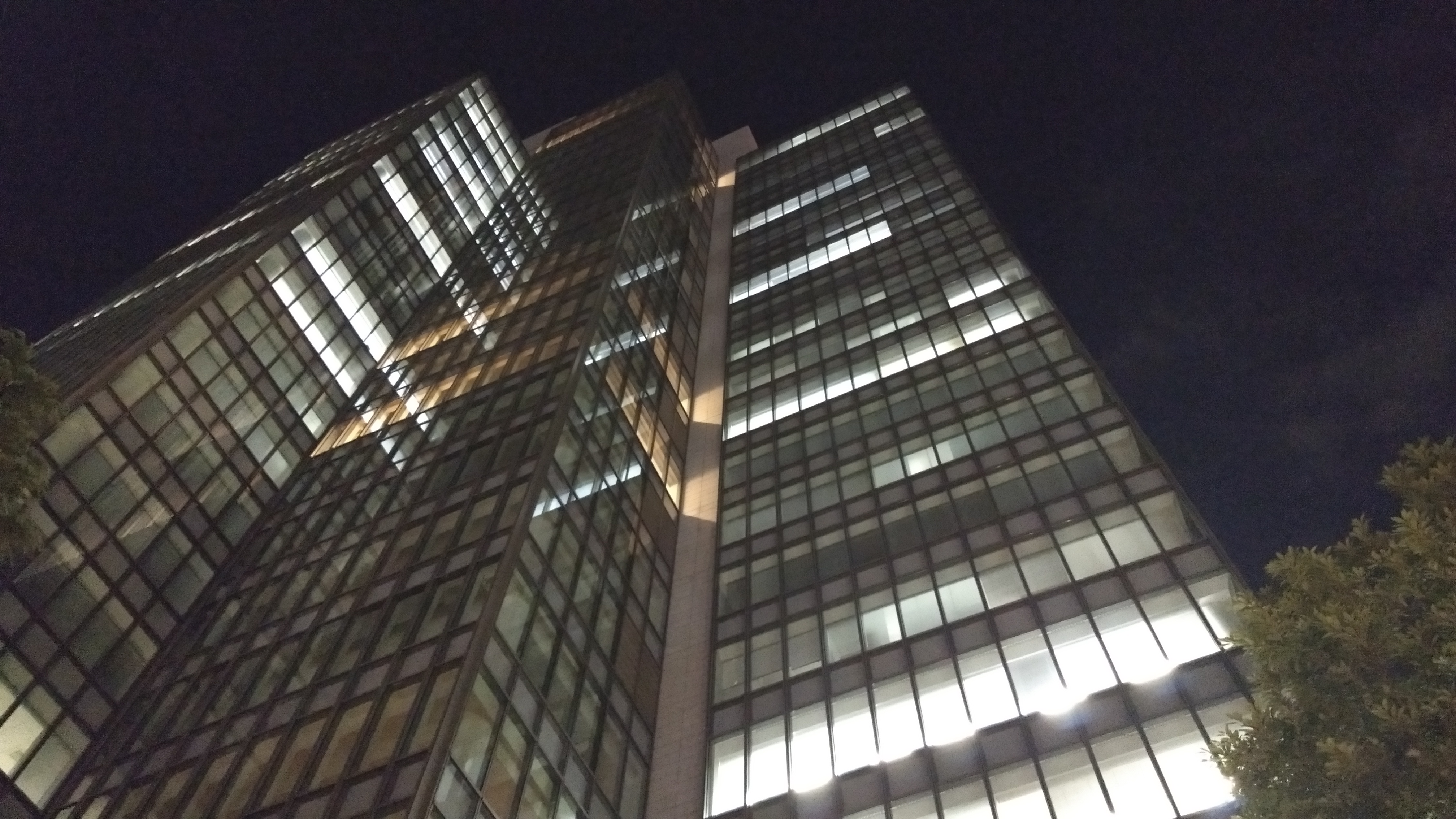 夜間の撮影サンプル