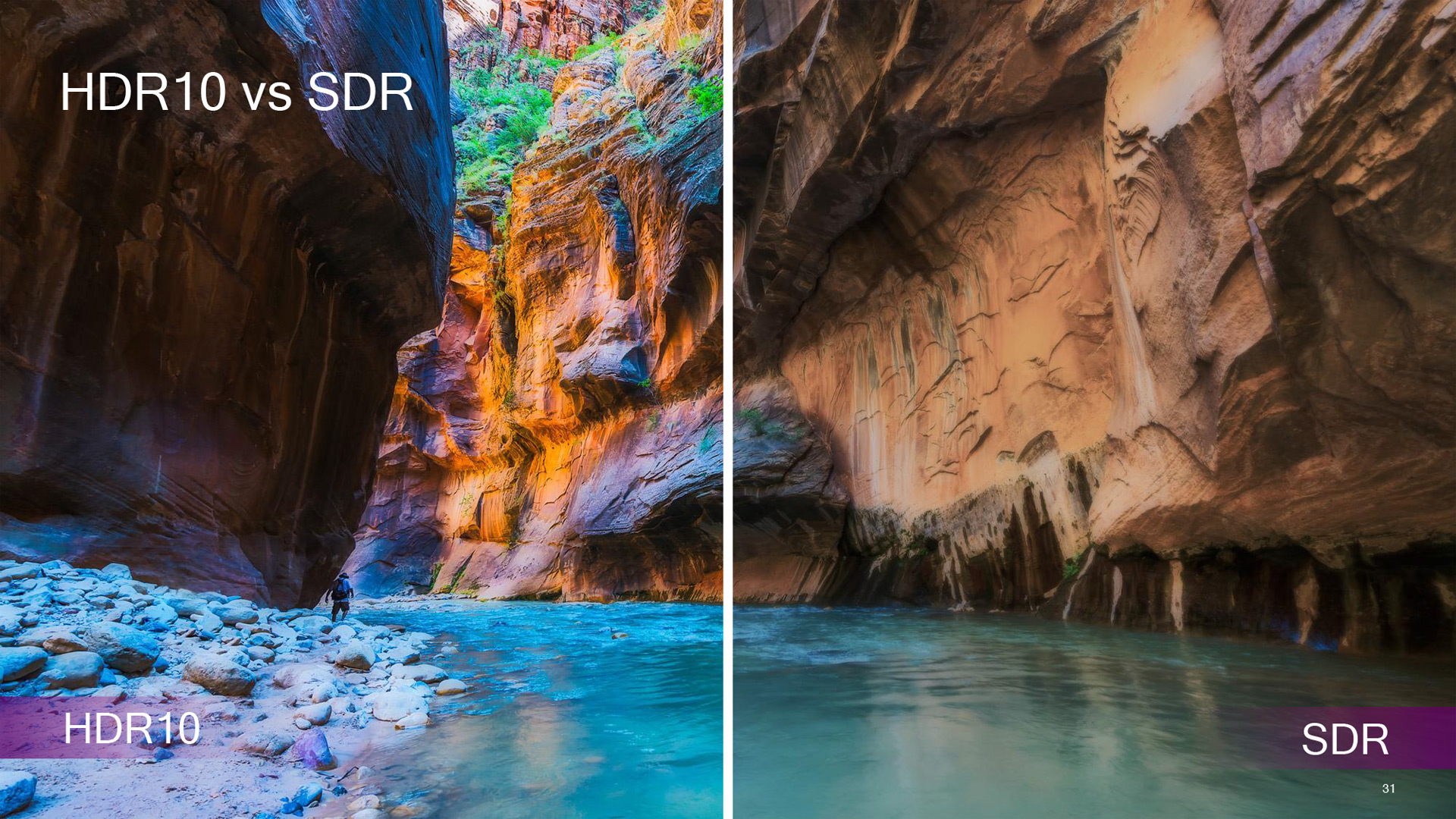 HDR10に対応し、微妙な階調を滑らかに表現するなど、高い色再現性を実現する