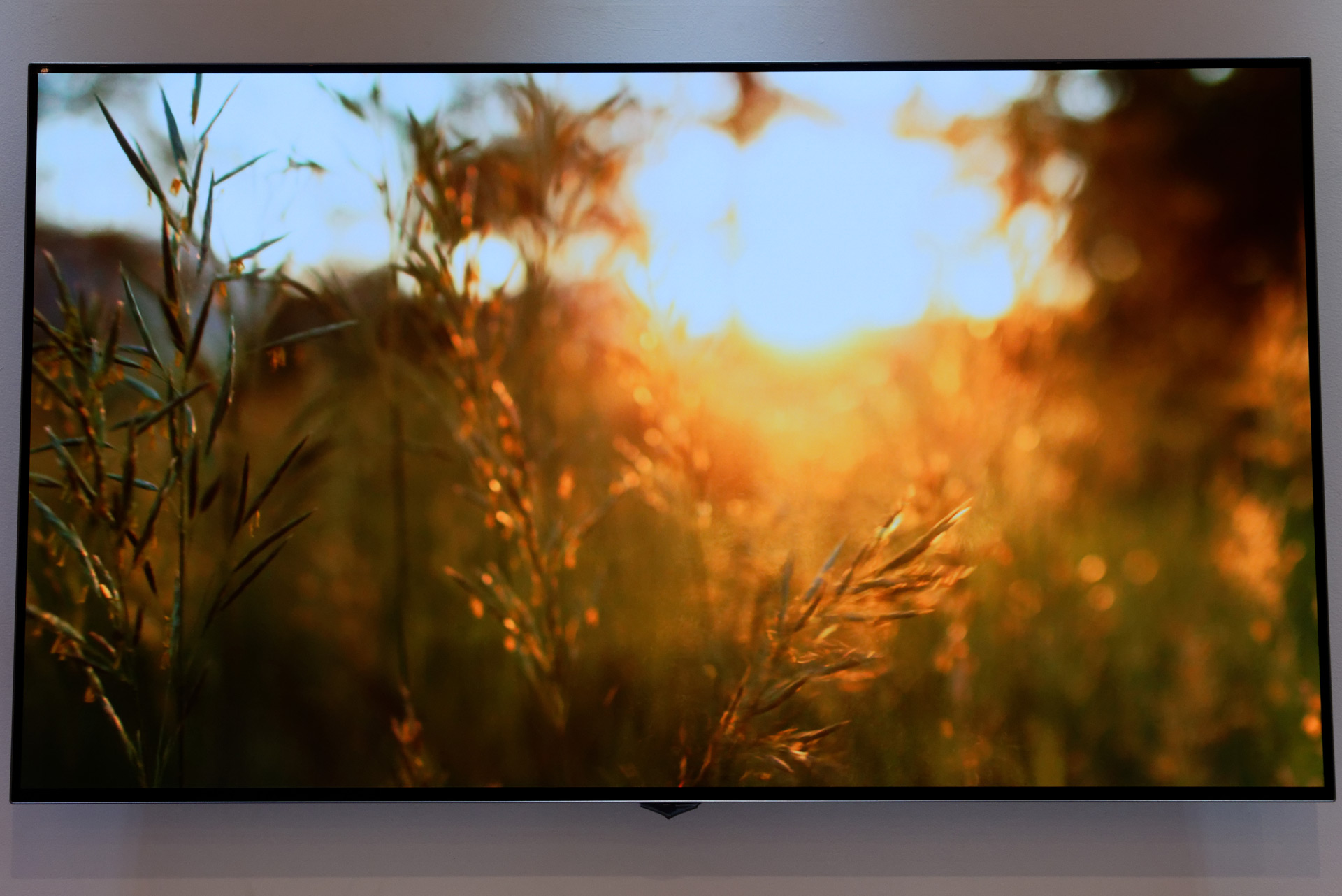 HDR10に対応し、微妙な階調を滑らかに表現するなど、高い色再現性を実現する