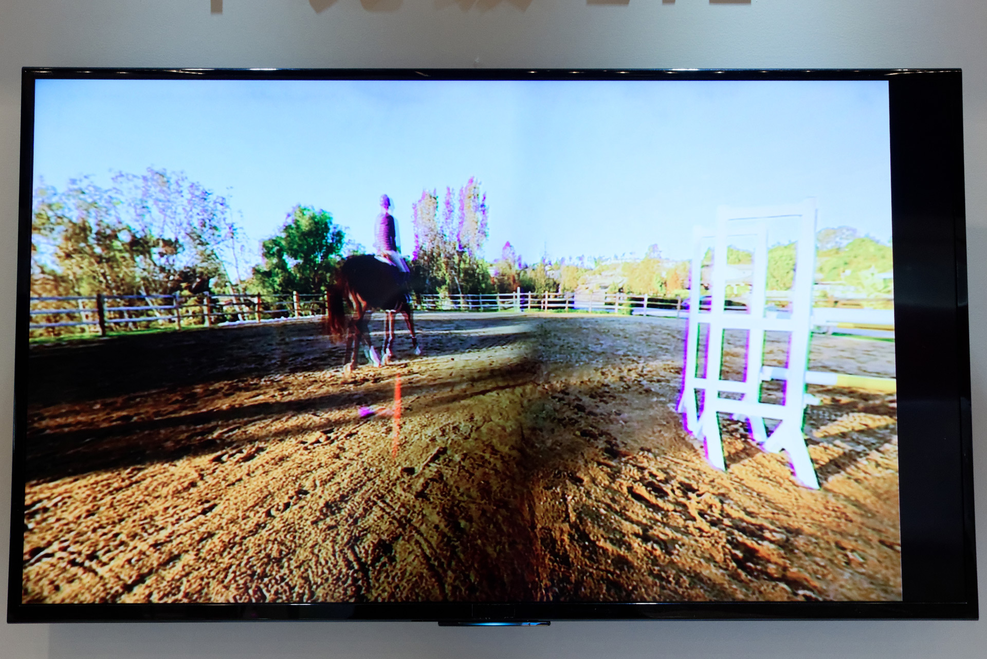 4K解像度の360度映像のオンライン再生にも対応する。ビットレートは100Mbps以上