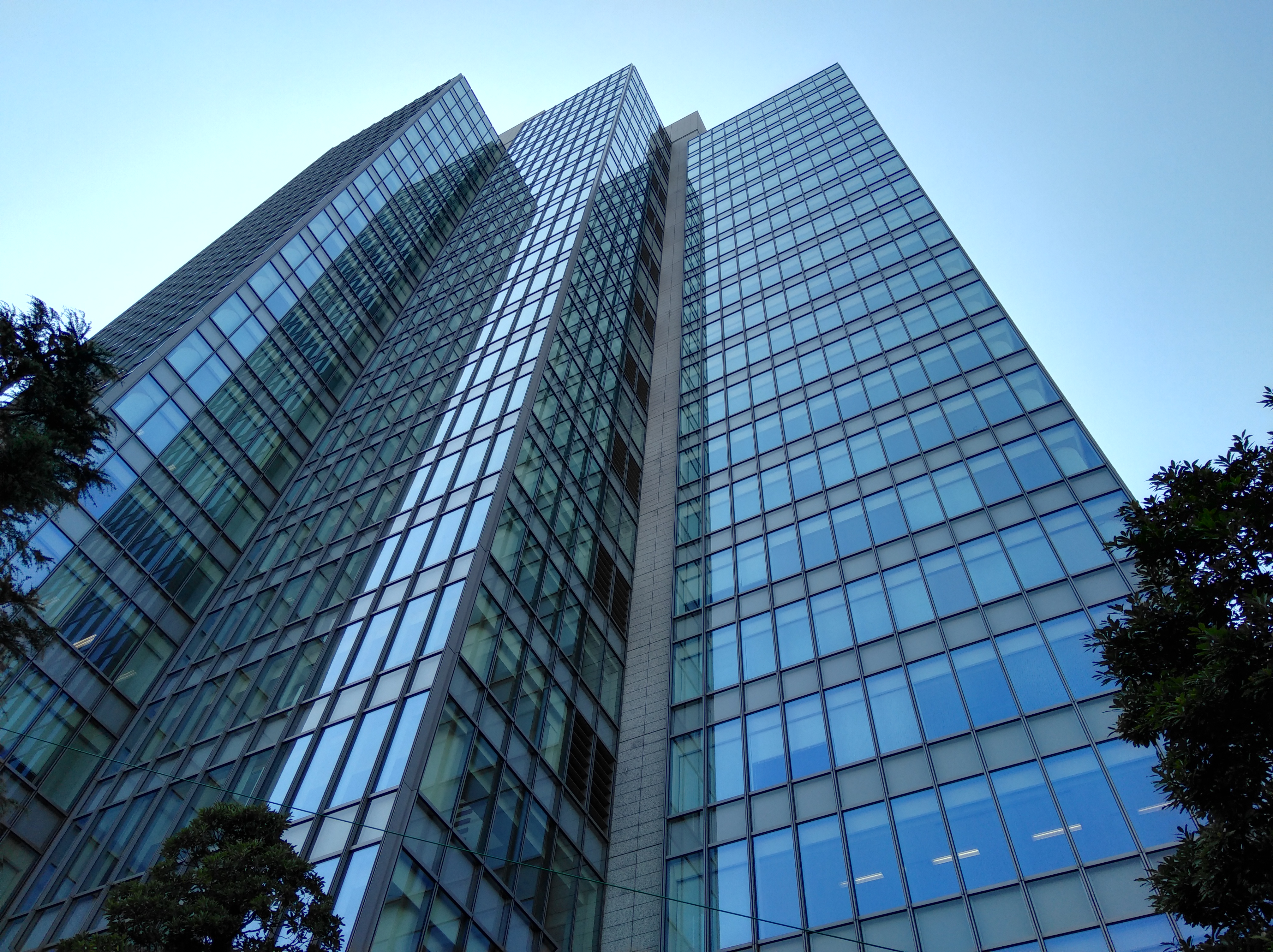 夜間の撮影サンプル