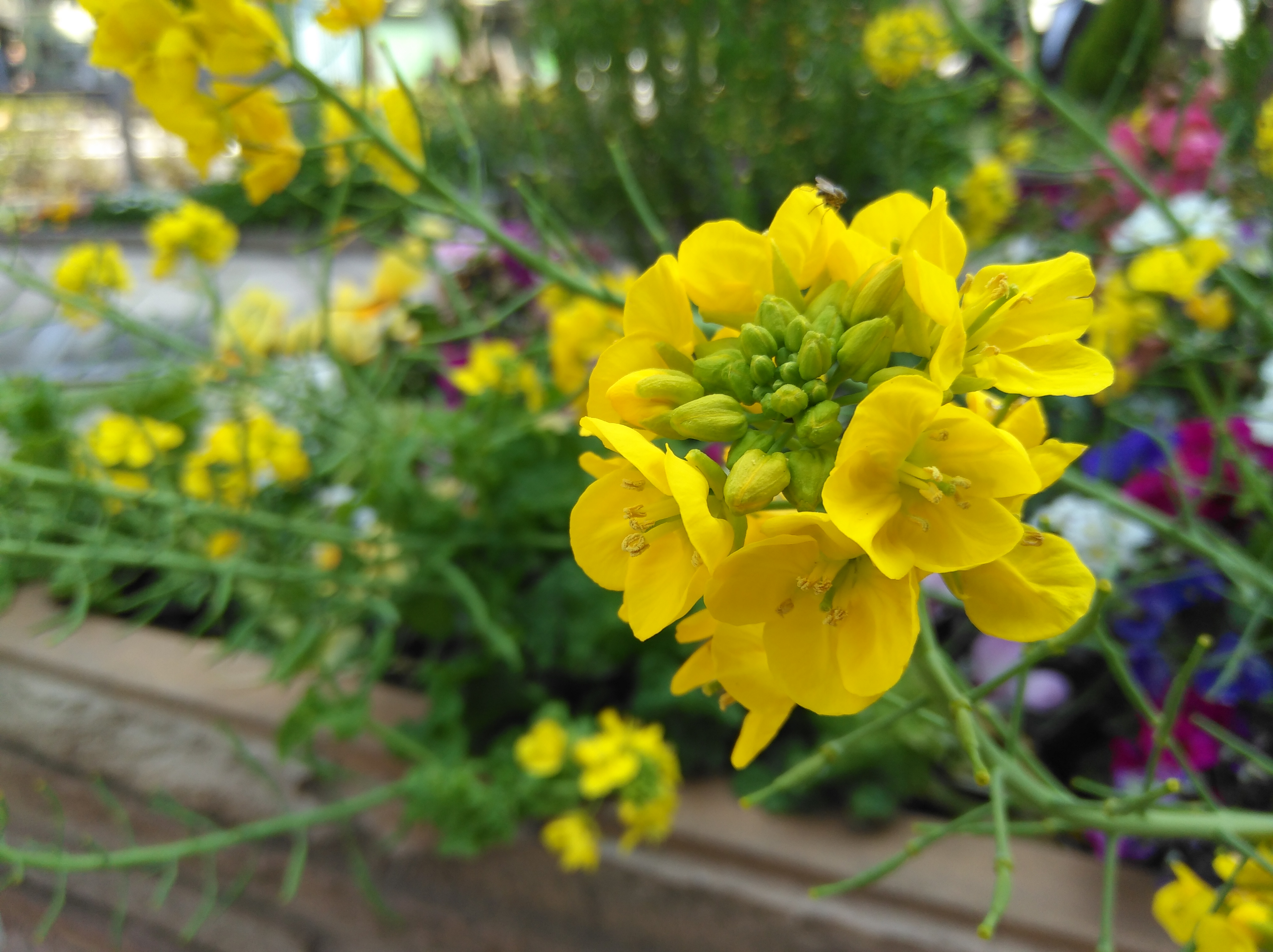 夜間の撮影サンプル