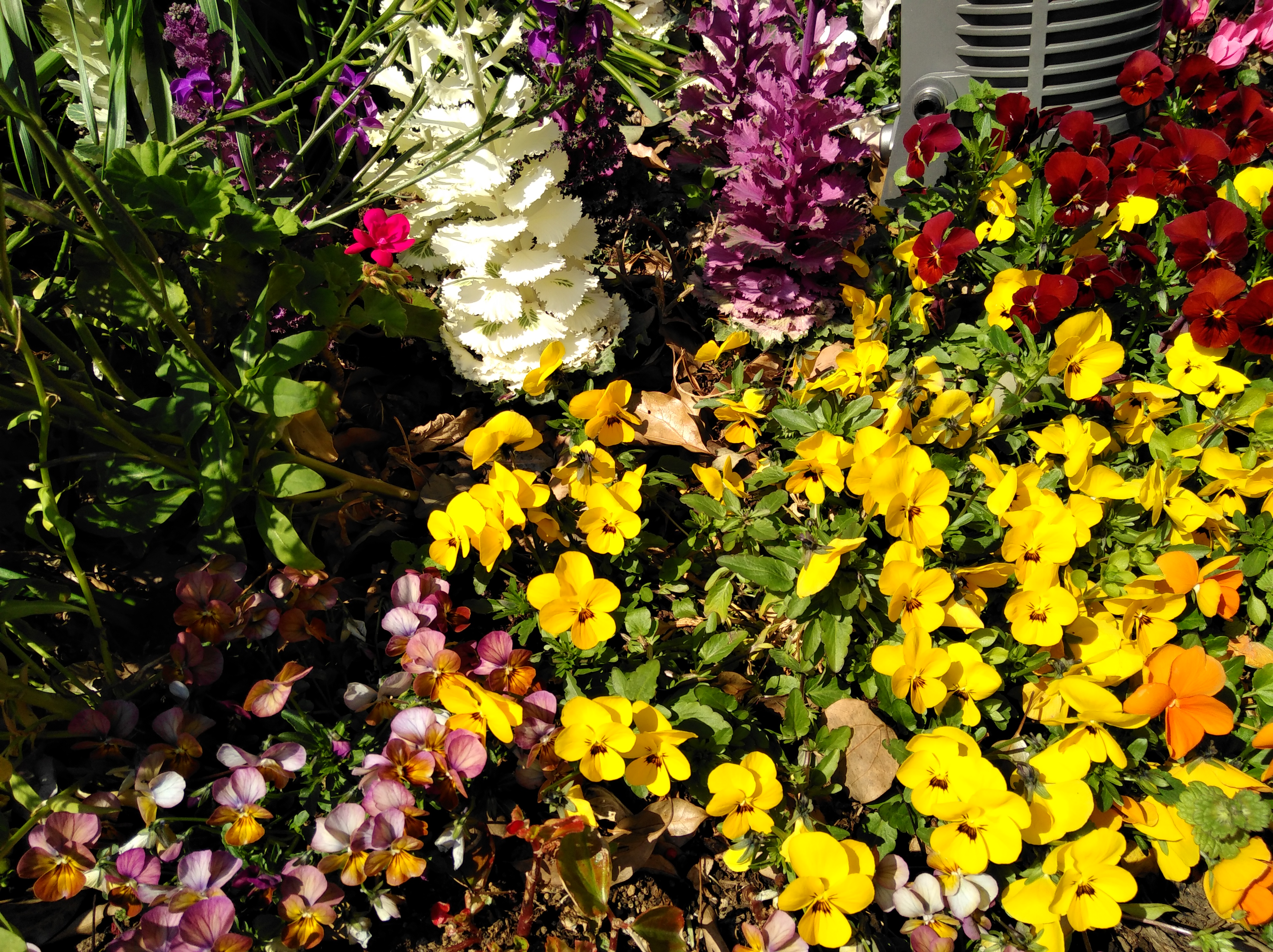 夜間の撮影サンプル