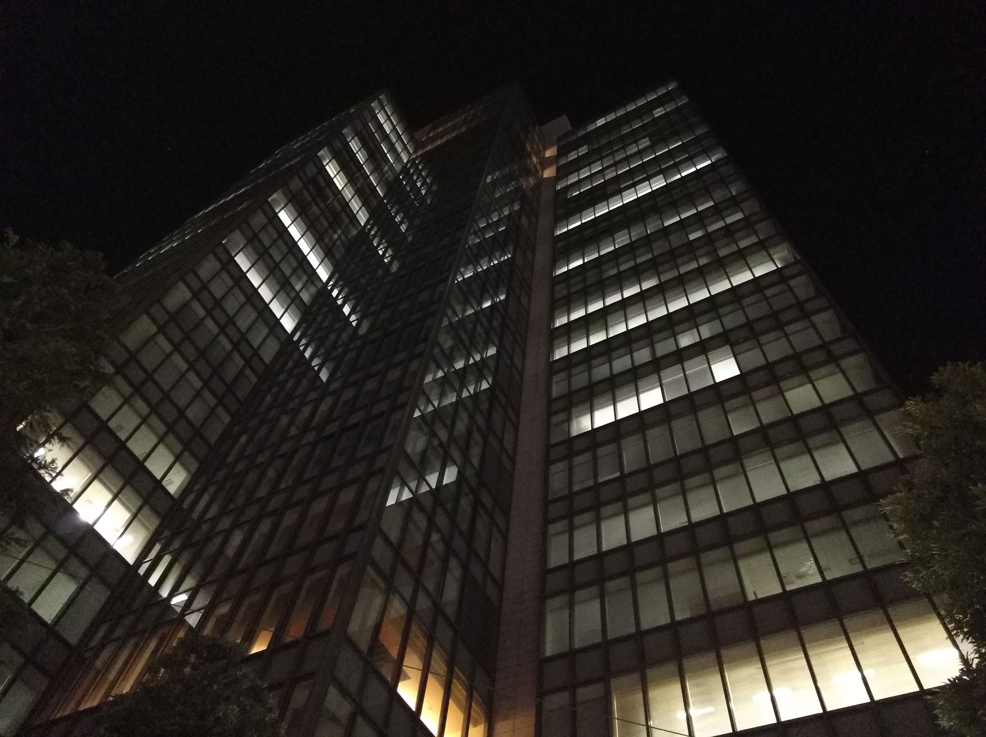 夜間の撮影サンプル