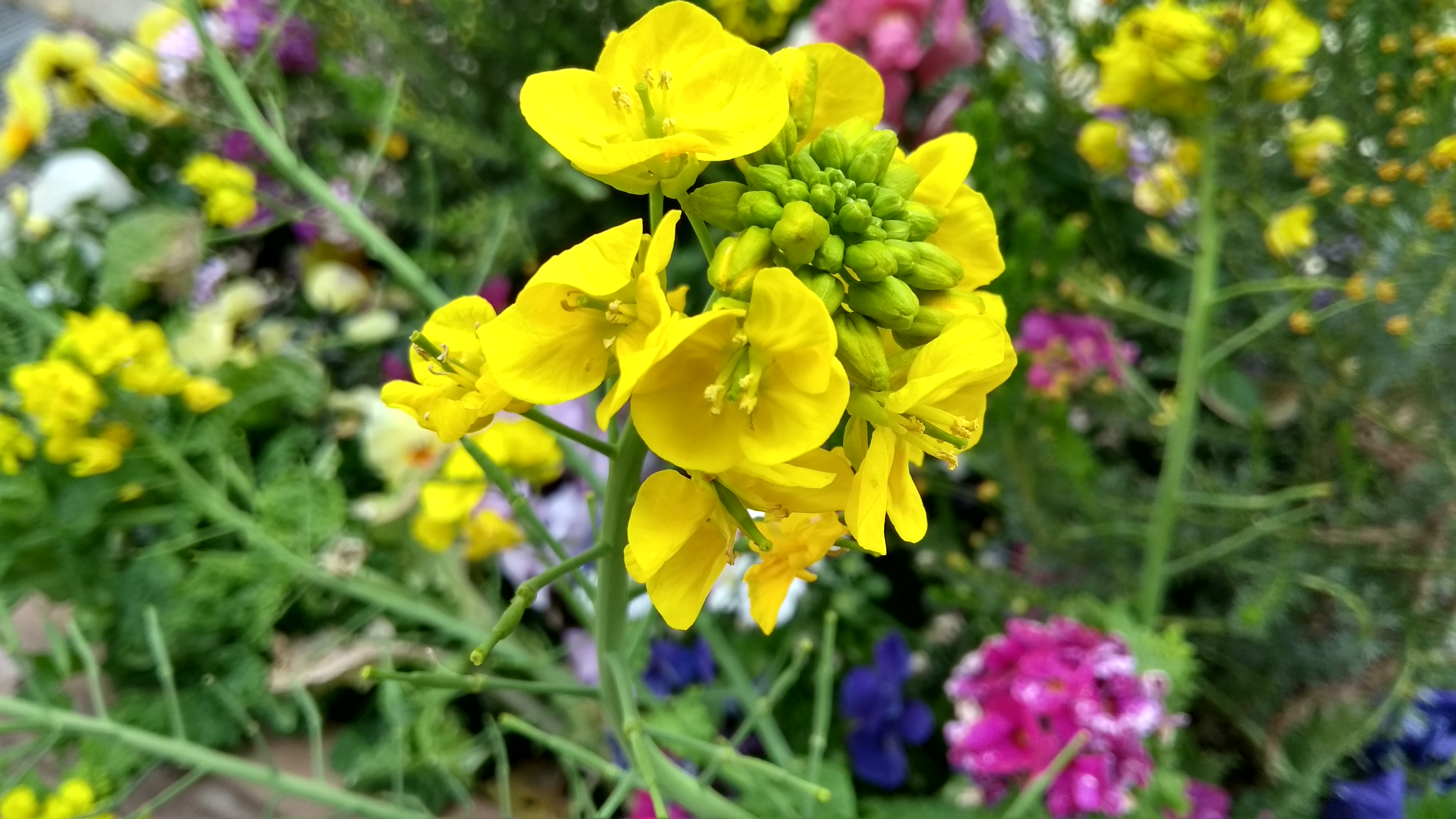 夜間撮影のサンプル