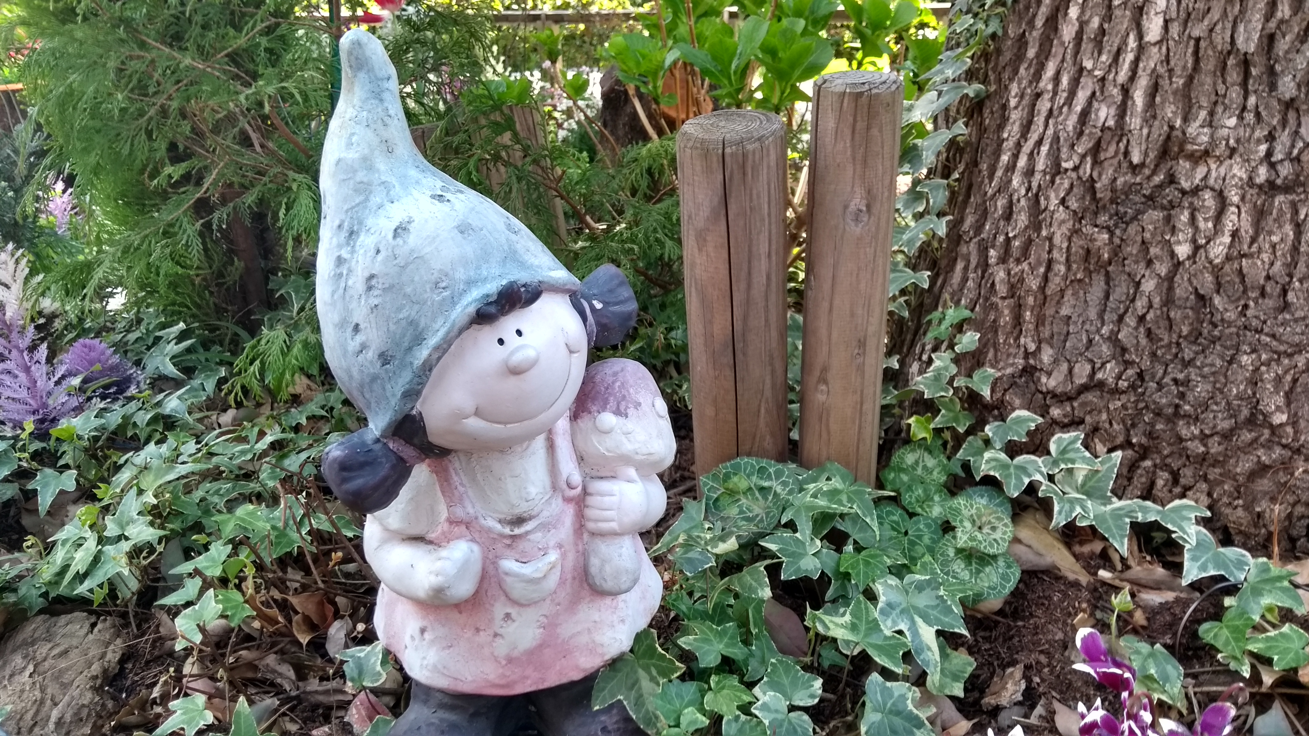 夜間撮影のサンプル