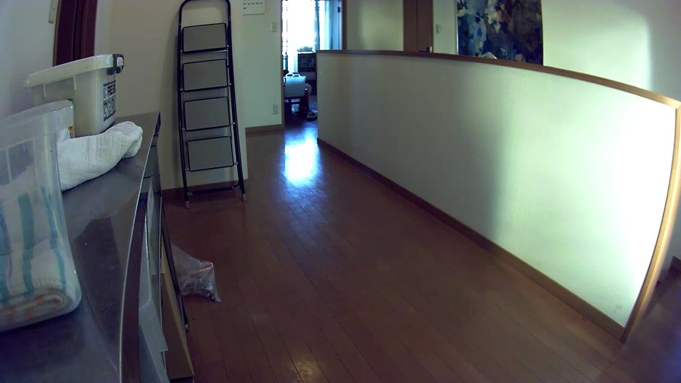 Petcubeのカメラから見ると、このような映像。かなりワイドな範囲を撮影できます