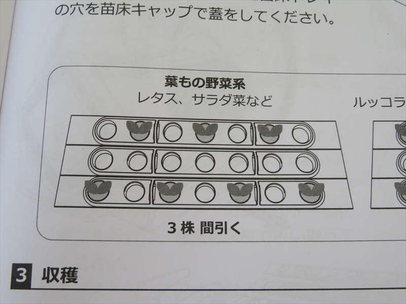 取扱説明書を参考にしながら間引き作業