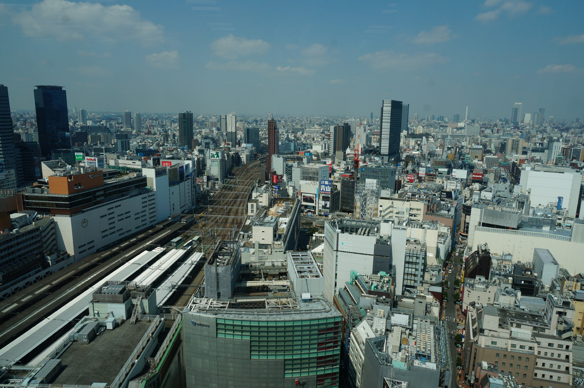 眼下に新宿の街並み