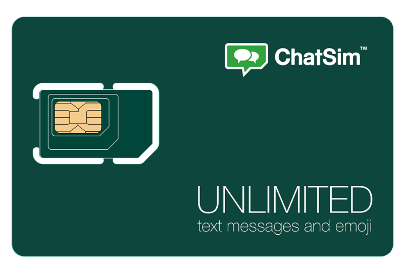 「ChatSim」