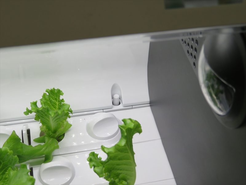 フロート（浮き）が怪しい