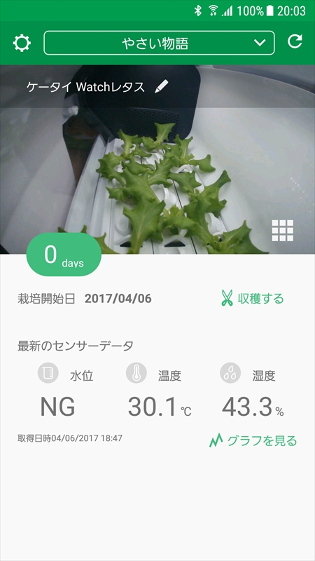 アプリ内の「収穫する」をタップしたら、栽培日数がリセットされてしまった……