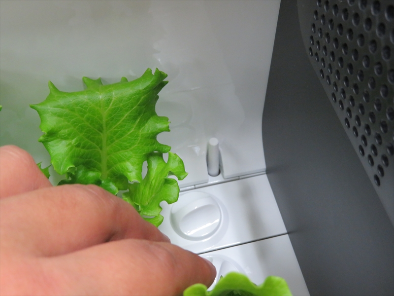 水位計測用のフロートを交換