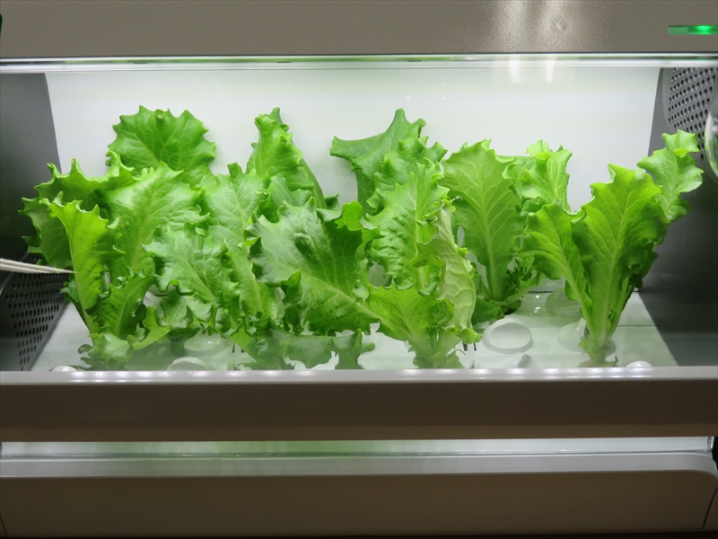 キット右上のランプがグリーンに変わった