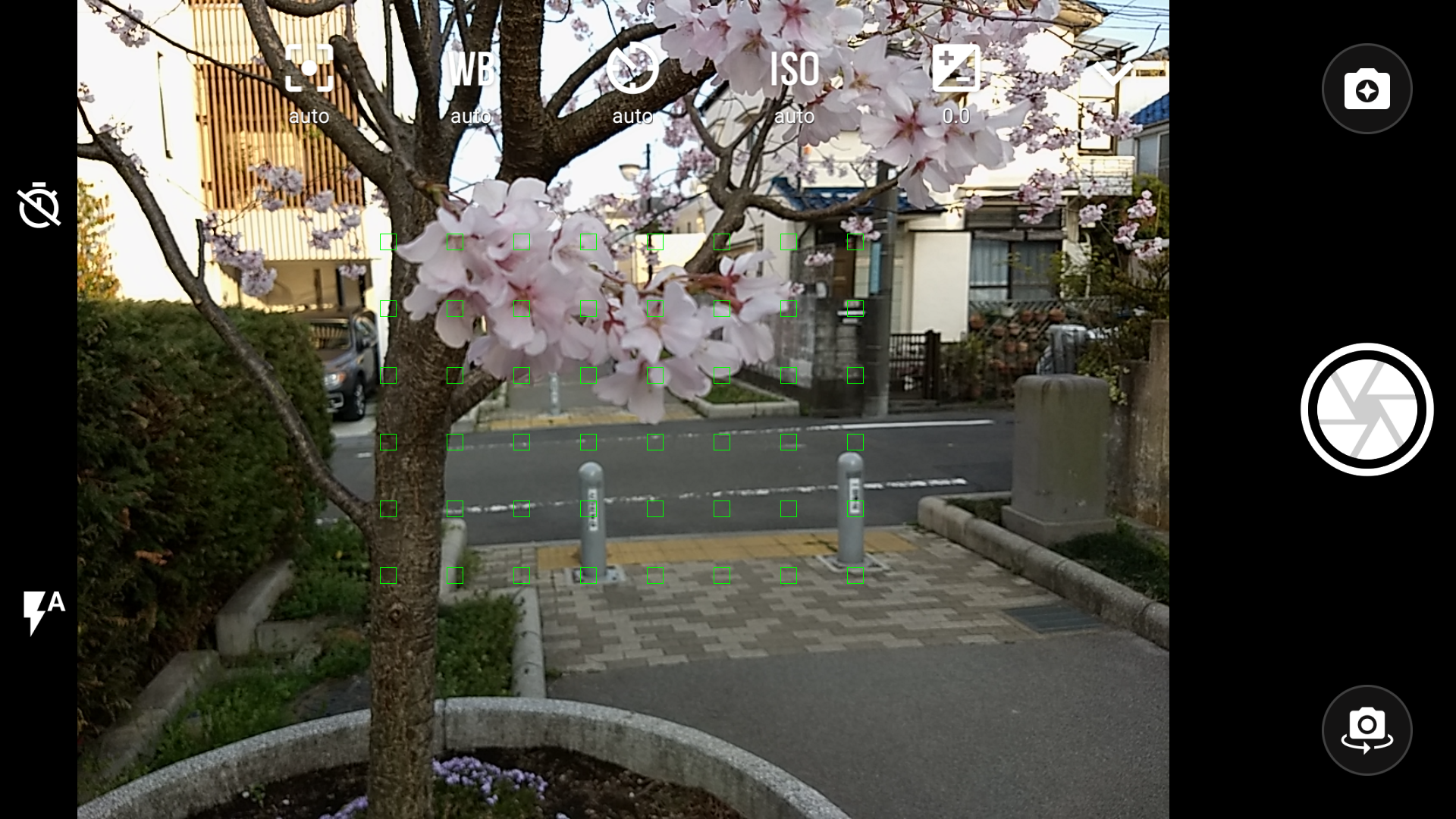 プロフェッショナルモードでは複数のポイント（画面内の黄色い□）にフォーカスが合う表示がされる。