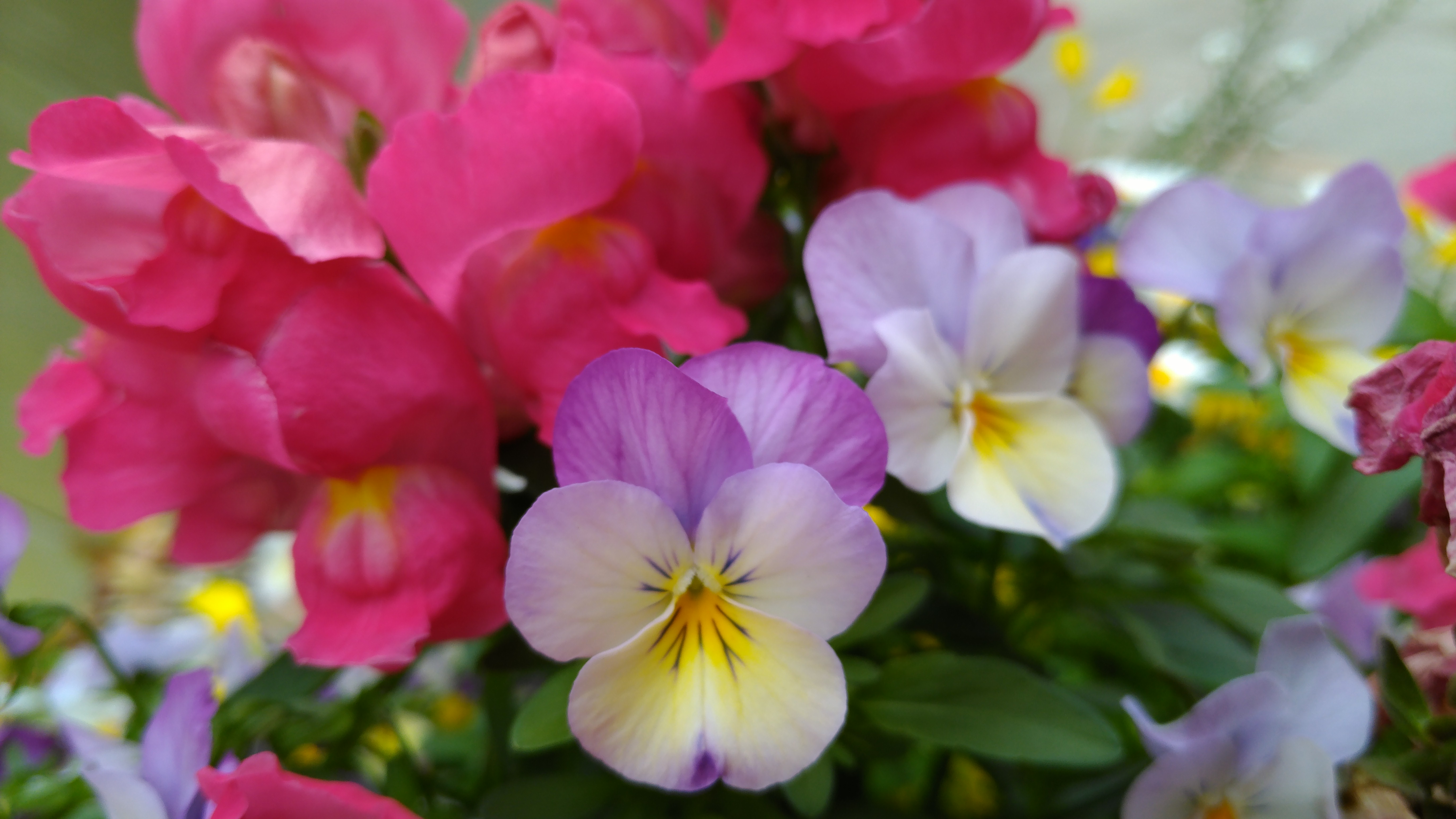 夜間の撮影サンプル