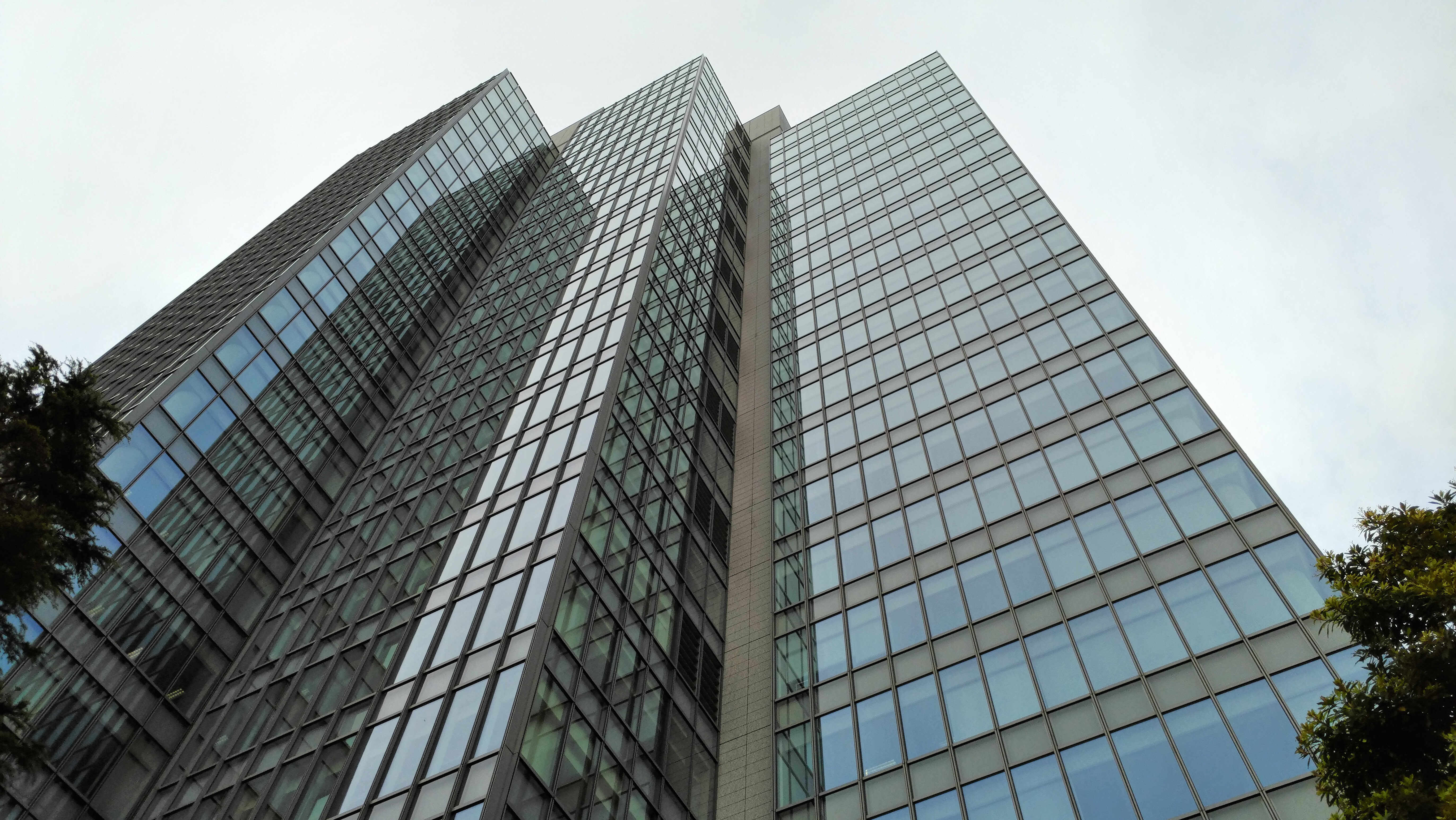 夜間の撮影サンプル