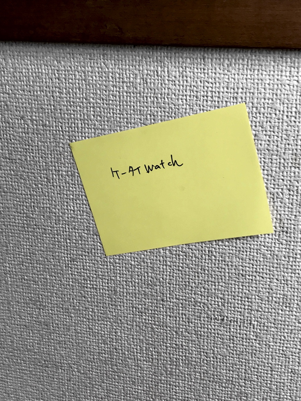 壁にもペッタリ張り付きます