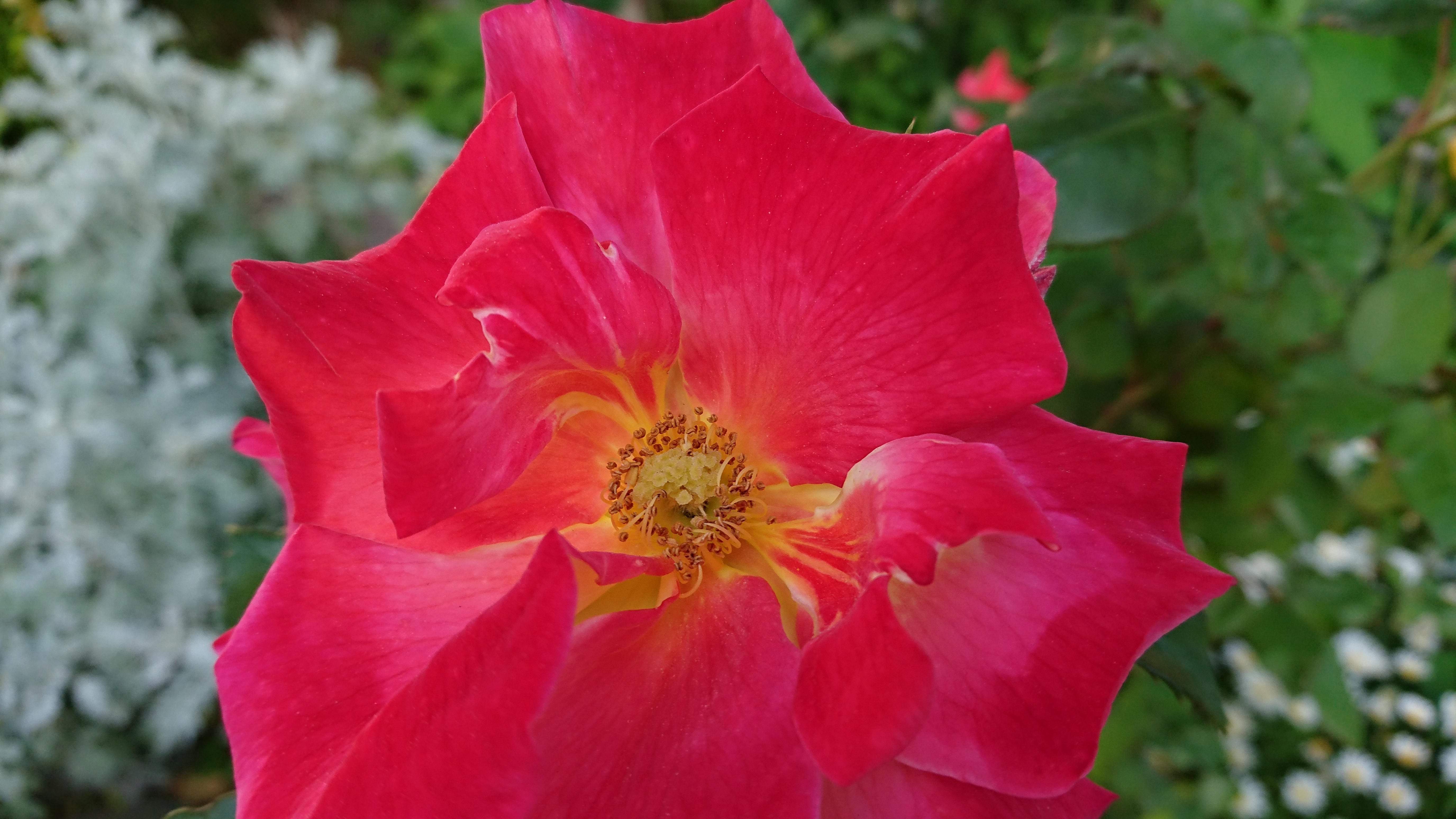 5504×3096ドット、リンク先は無加工