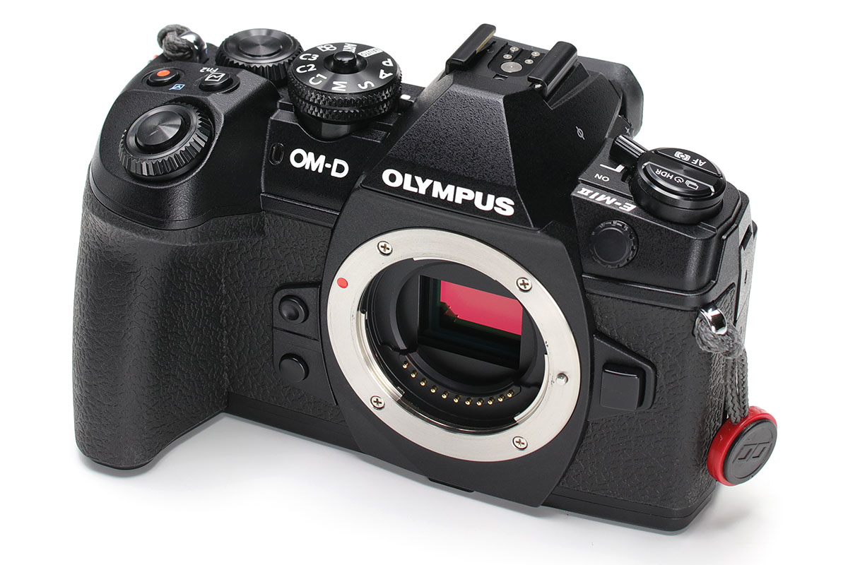 今年の2月に購入したオリンパスの「OM-D E-M1 Mark II」。一緒に話題のレンズ「M.ZUIKO DIGITAL ED 12-100mm F4.0 IS PRO」（<a href="https://www.olympus-imaging.jp/product/dslr/mlens/12-100_4ispro/index.html" class="n" target="_blank">公式ページ</a>）も買いました。