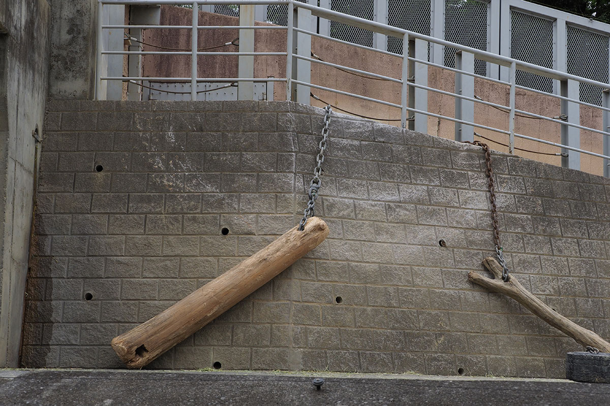 「OM-D E-M1 Mark II」の通常モードで撮った写真。中央はドットバイドット、右は一部をトリミングしてリサイズした画像です。レンズは「M.ZUIKO DIGITAL ED 40-150mm F2.8 PRO」ですが、良好な画像が得られました。