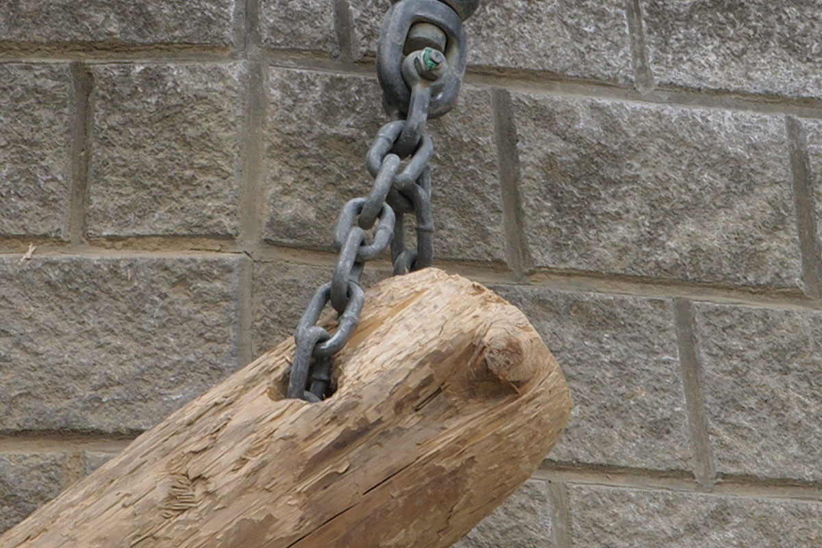 こちらは「OM-D E-M1 Mark II」の50Mハイレゾショットで撮ったもの。中央はドットバイドット、右は一部をトリミングしてリサイズした画像。パッと見だとあまり変わらないように見えますが、「トリミングしてリサイズした画像」の細部をよく見ると、ハイレゾショットのほうがディテイルの再現性が高いように見えます。