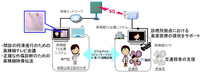 医療応用分野 実証試験イメージ