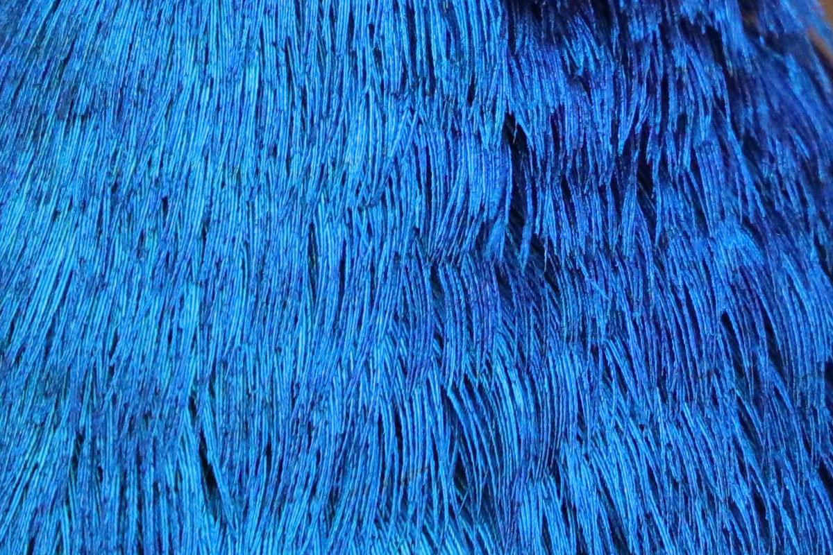 「EF100-400mm F4.5-5.6L IS II USM」で撮影。十二分に高解像度なので、羽毛の質感もリアルに再現されています。