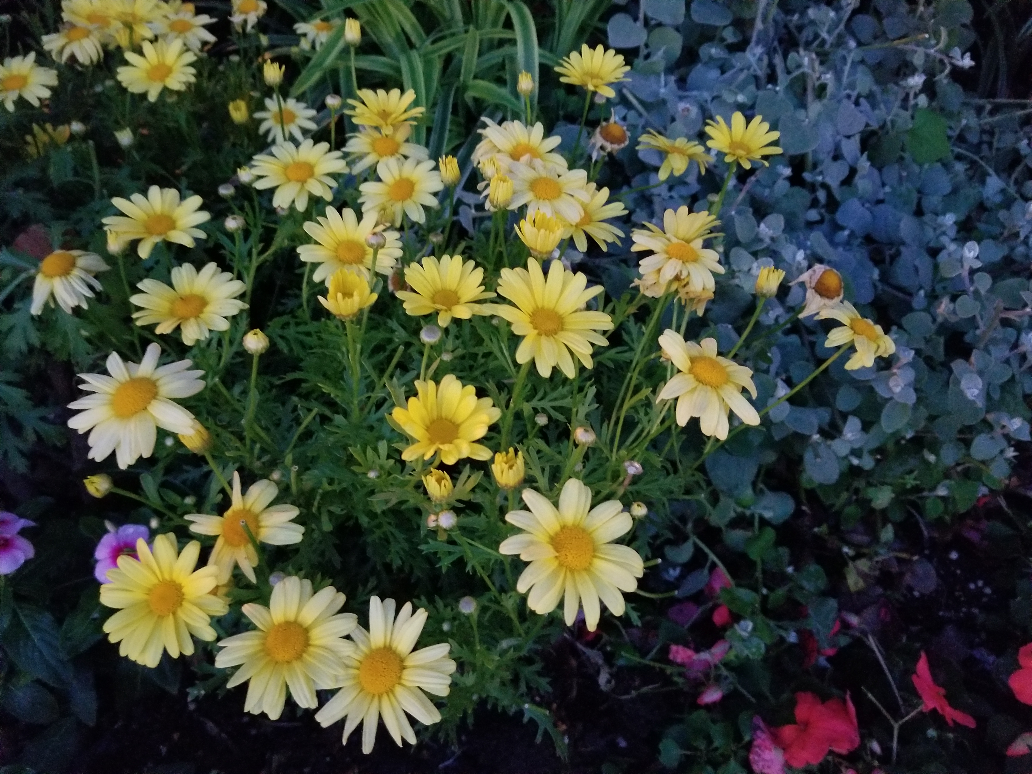 夕方～夜間帯の撮影サンプル