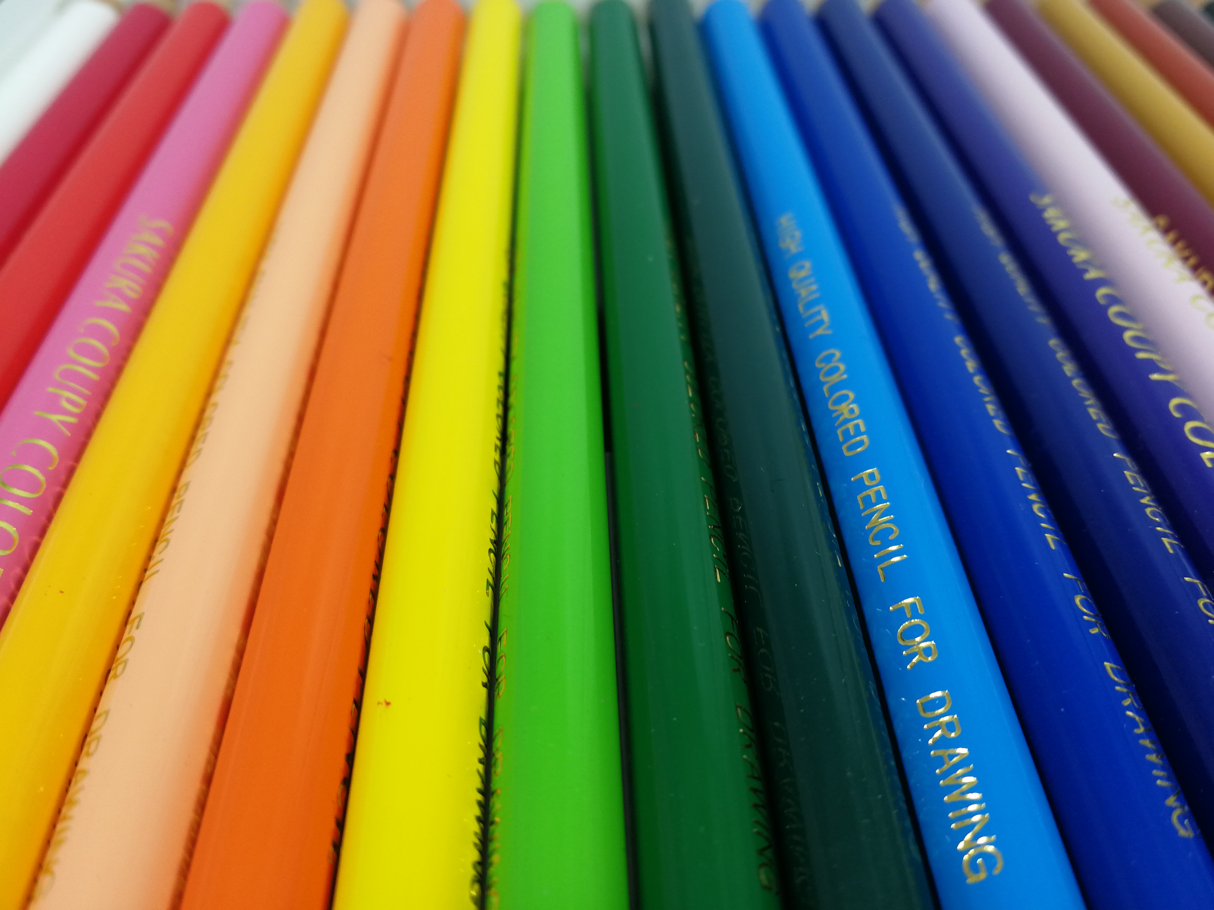 撮影サンプル。3968×2976ドット