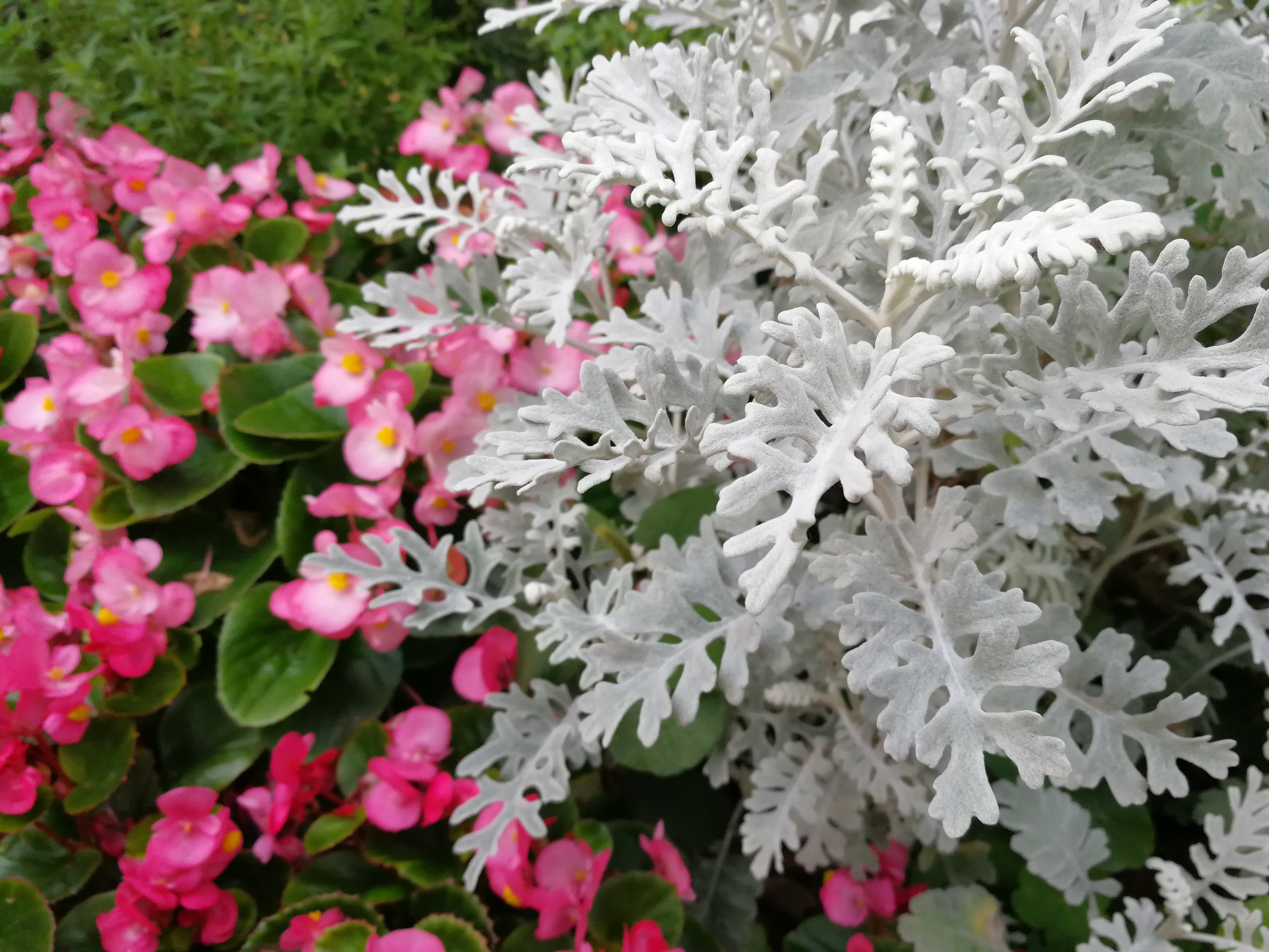 モノクロモードの撮影サンプル。5120×3840ドット