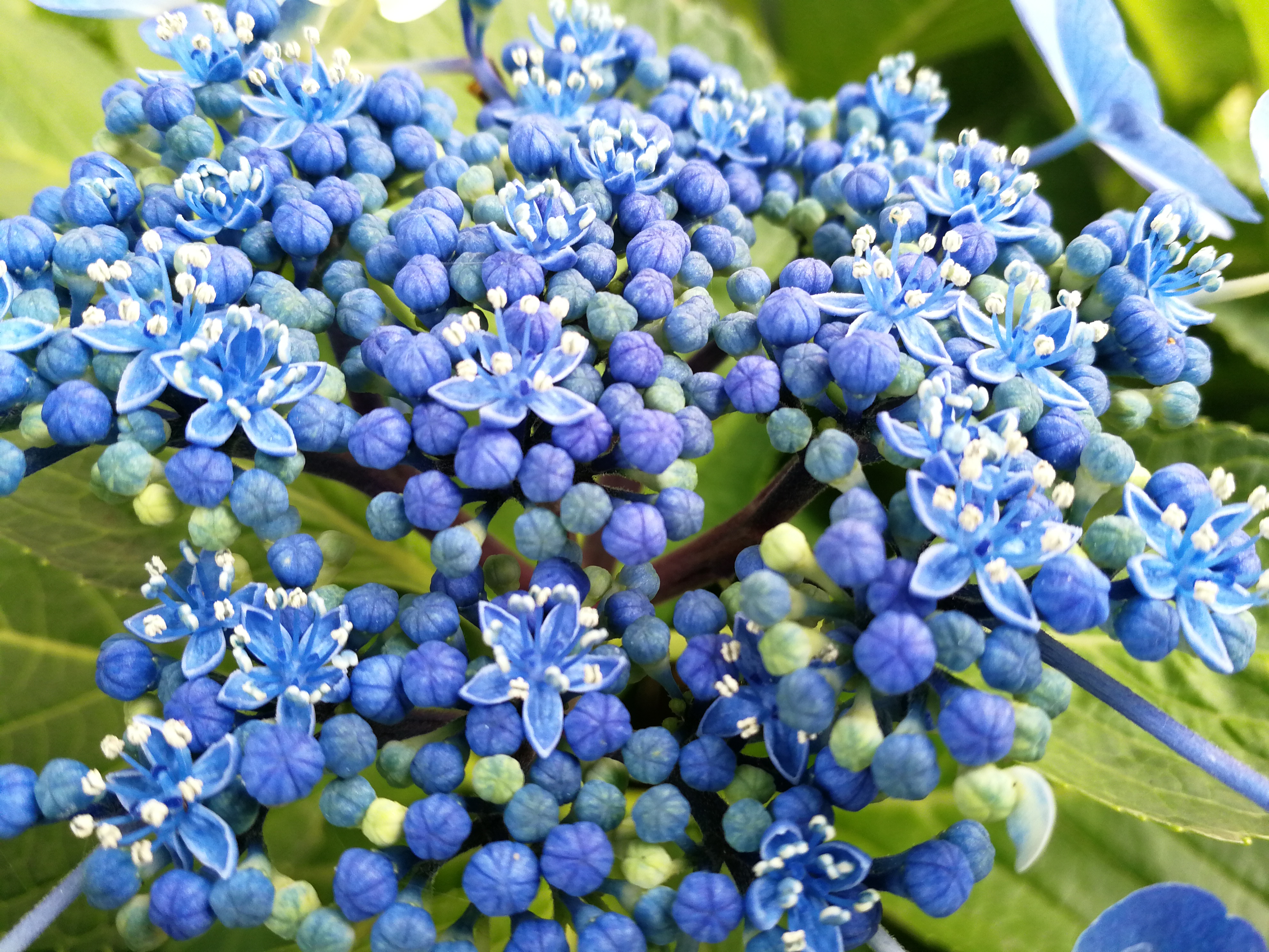 モノクロモードの撮影サンプル。5120×3840ドット