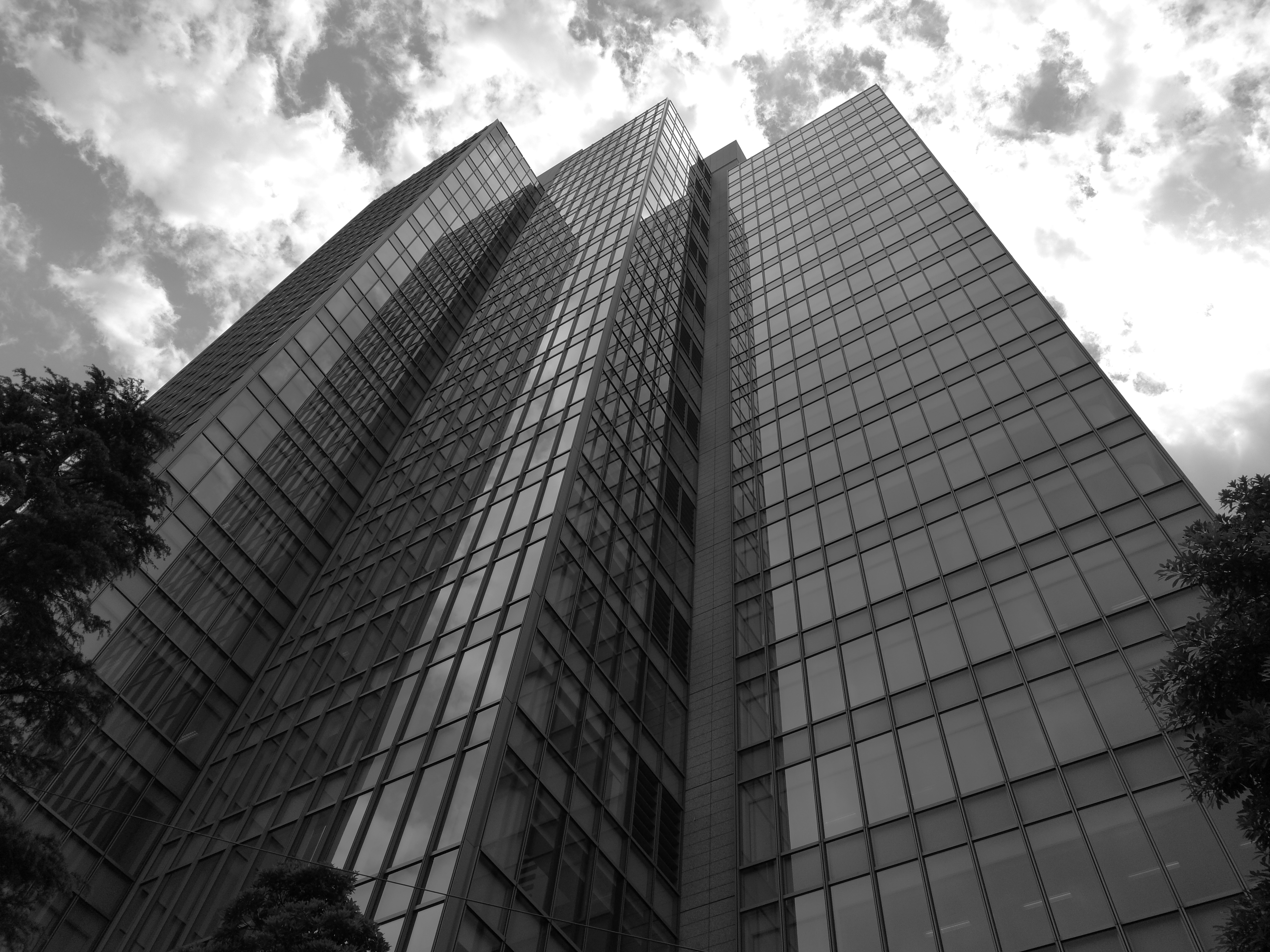 モノクロモードの撮影サンプル。5120×3840ドット