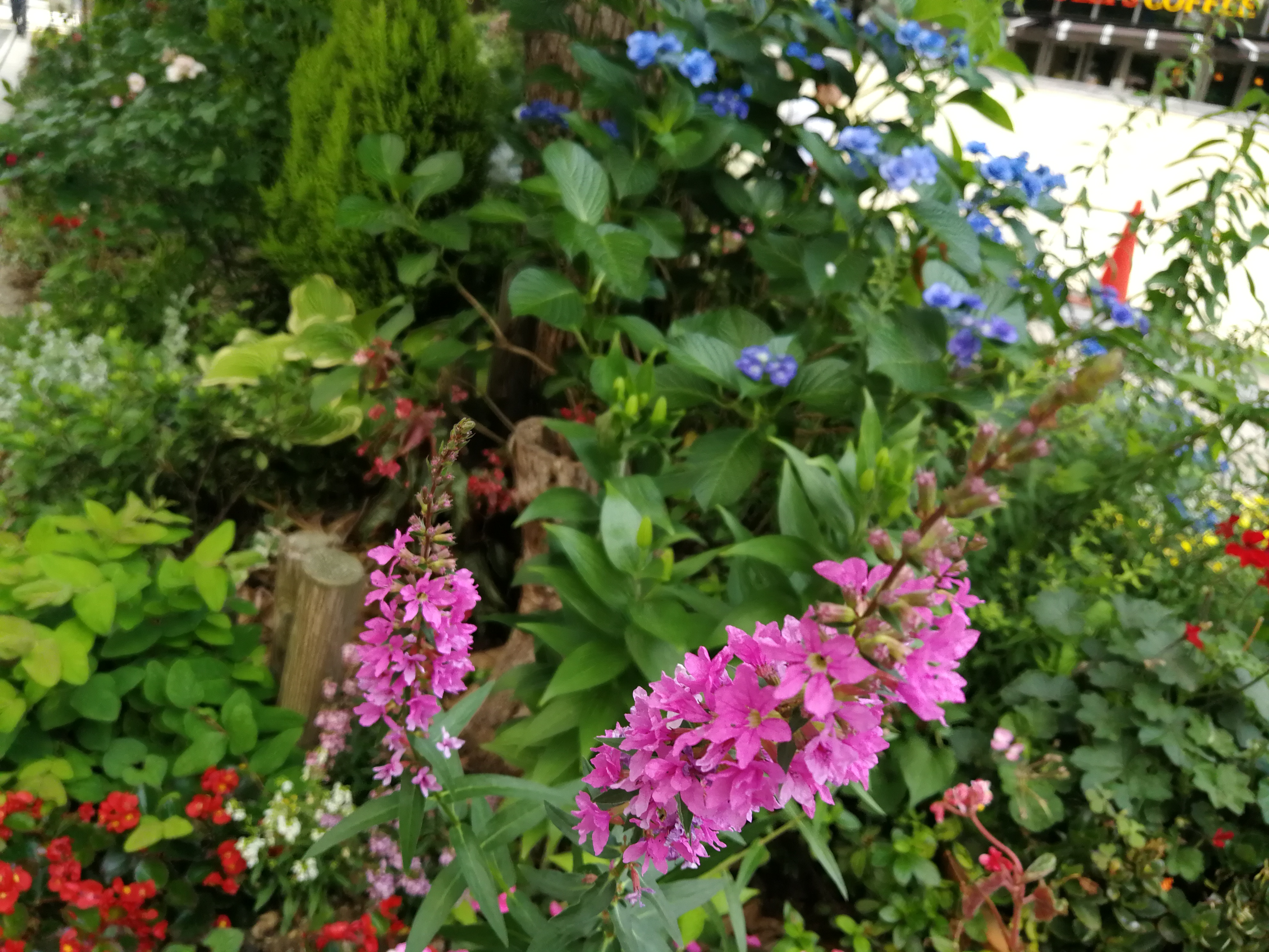 モノクロモードの撮影サンプル。5120×3840ドット