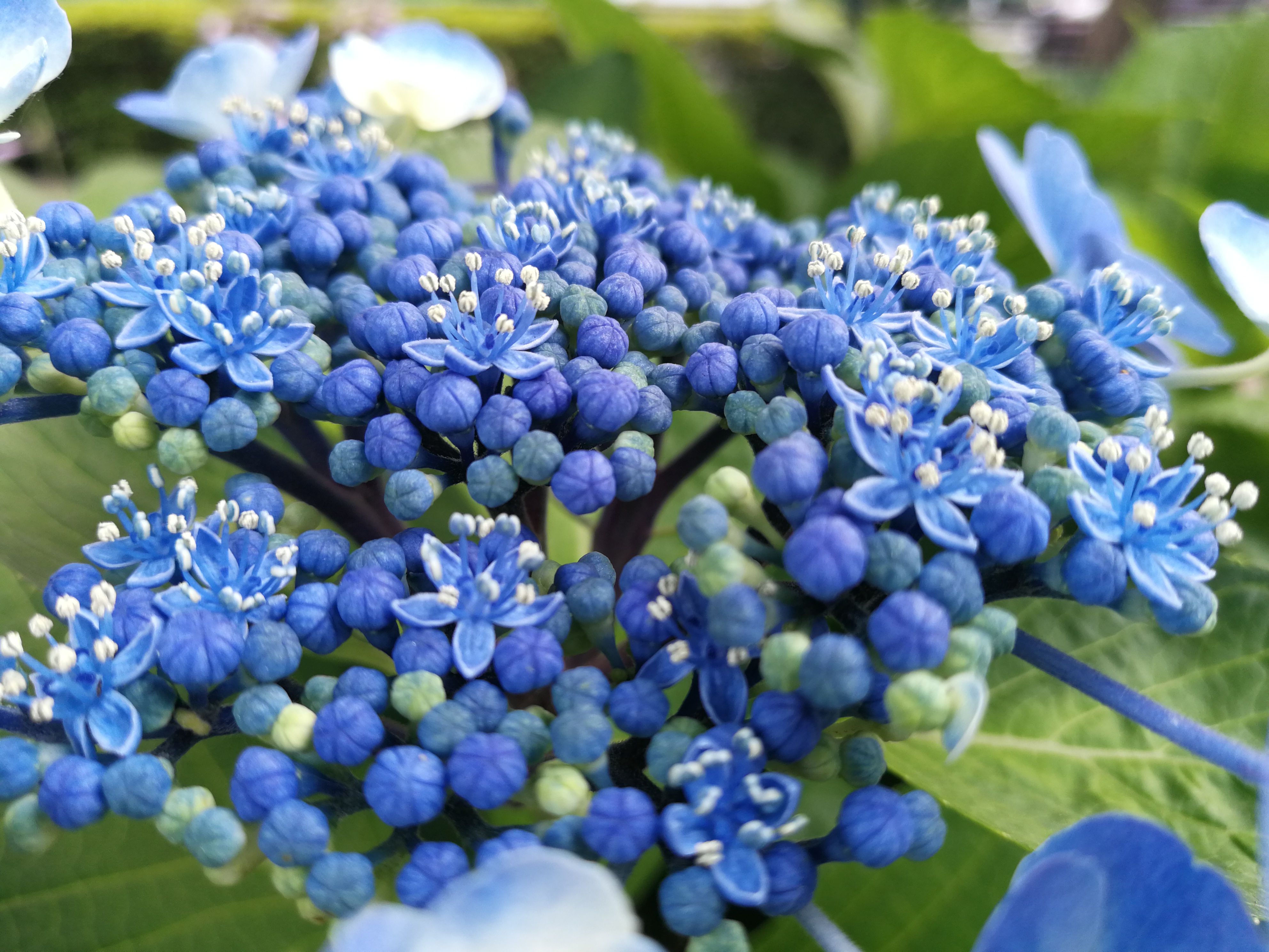 モノクロモードの撮影サンプル。5120×3840ドット