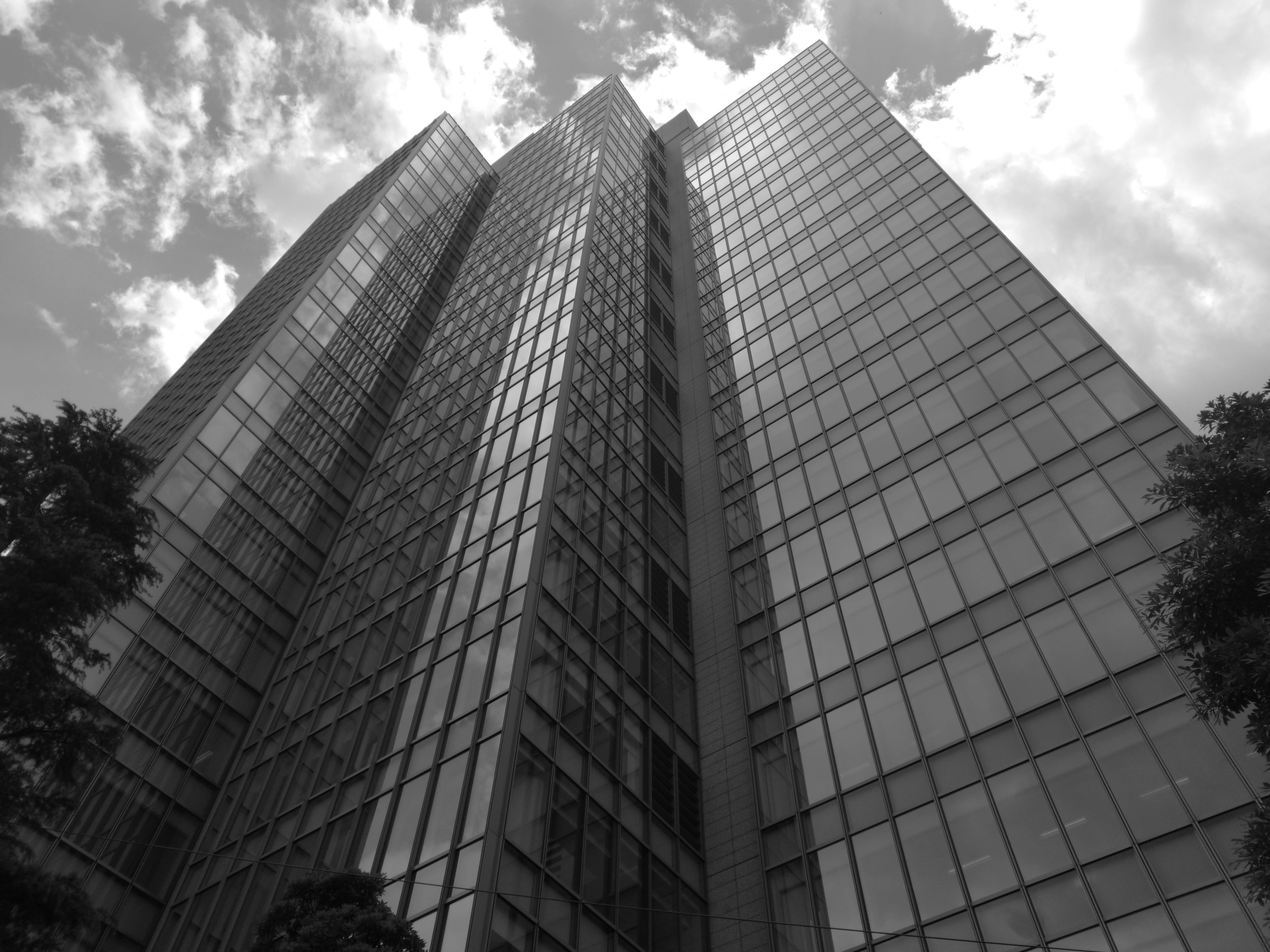 モノクロモードの撮影サンプル。5120×3840ドット