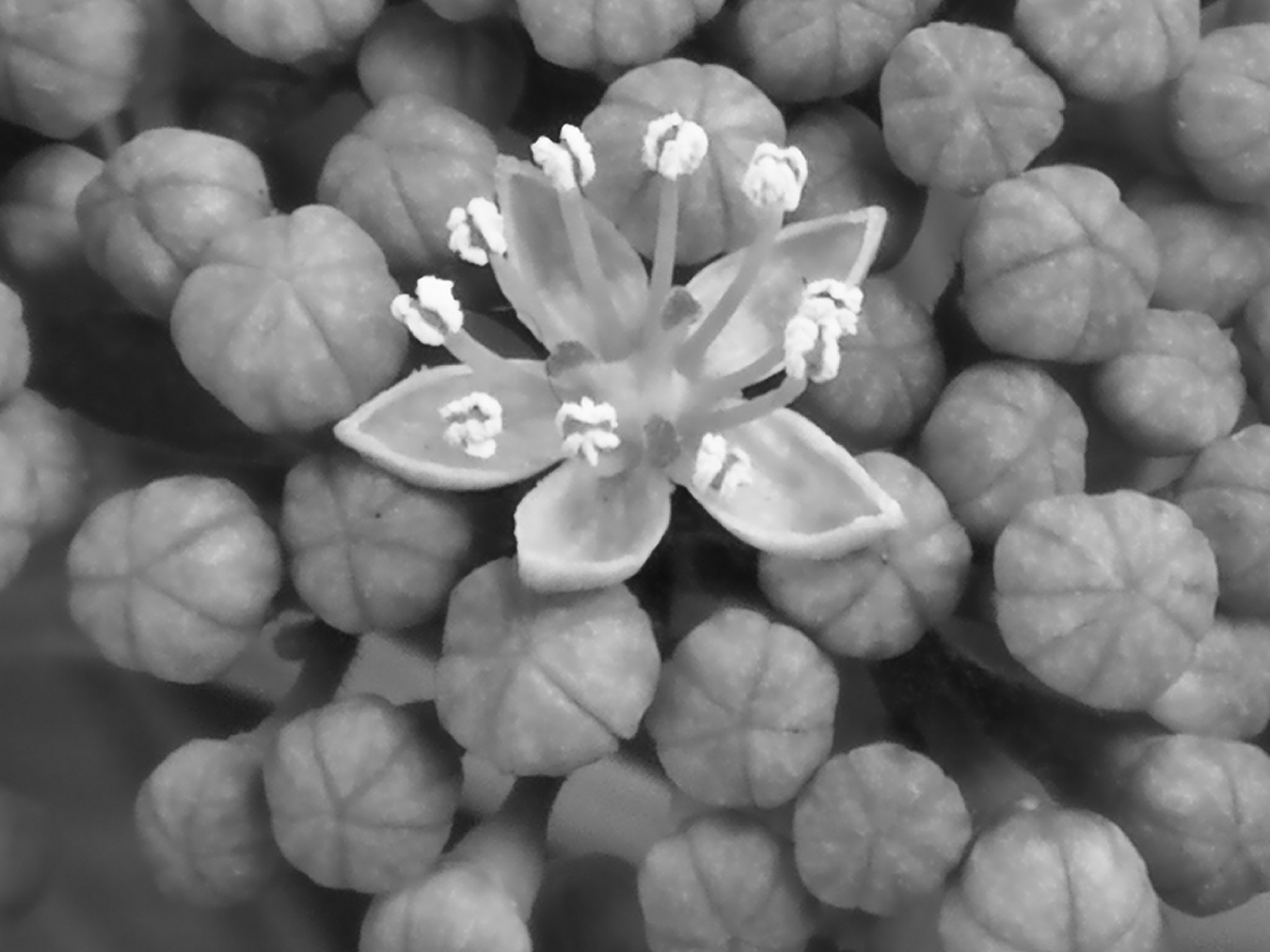 夜間の撮影サンプル。3968×2976ドット