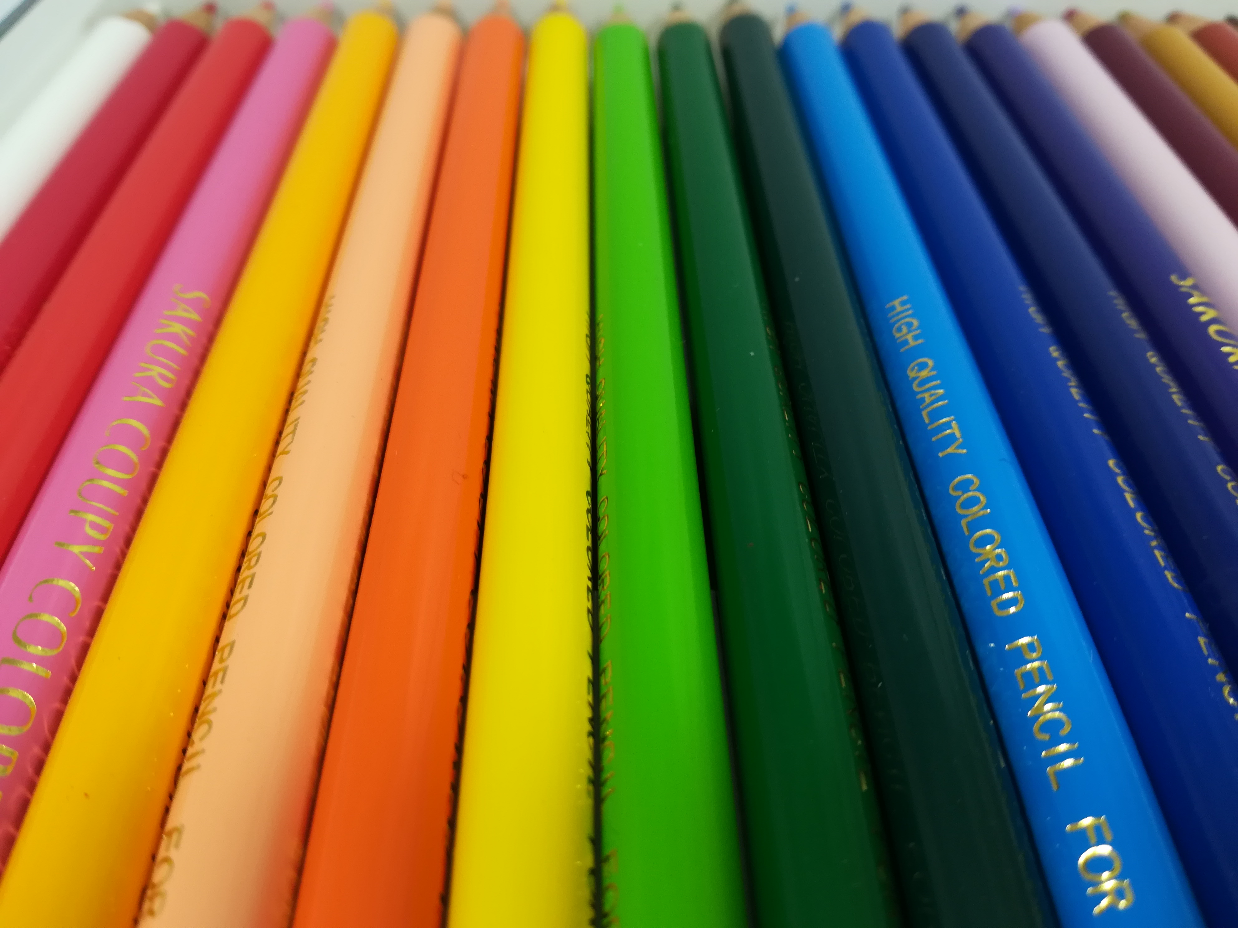 撮影サンプル。3968×2976ドット