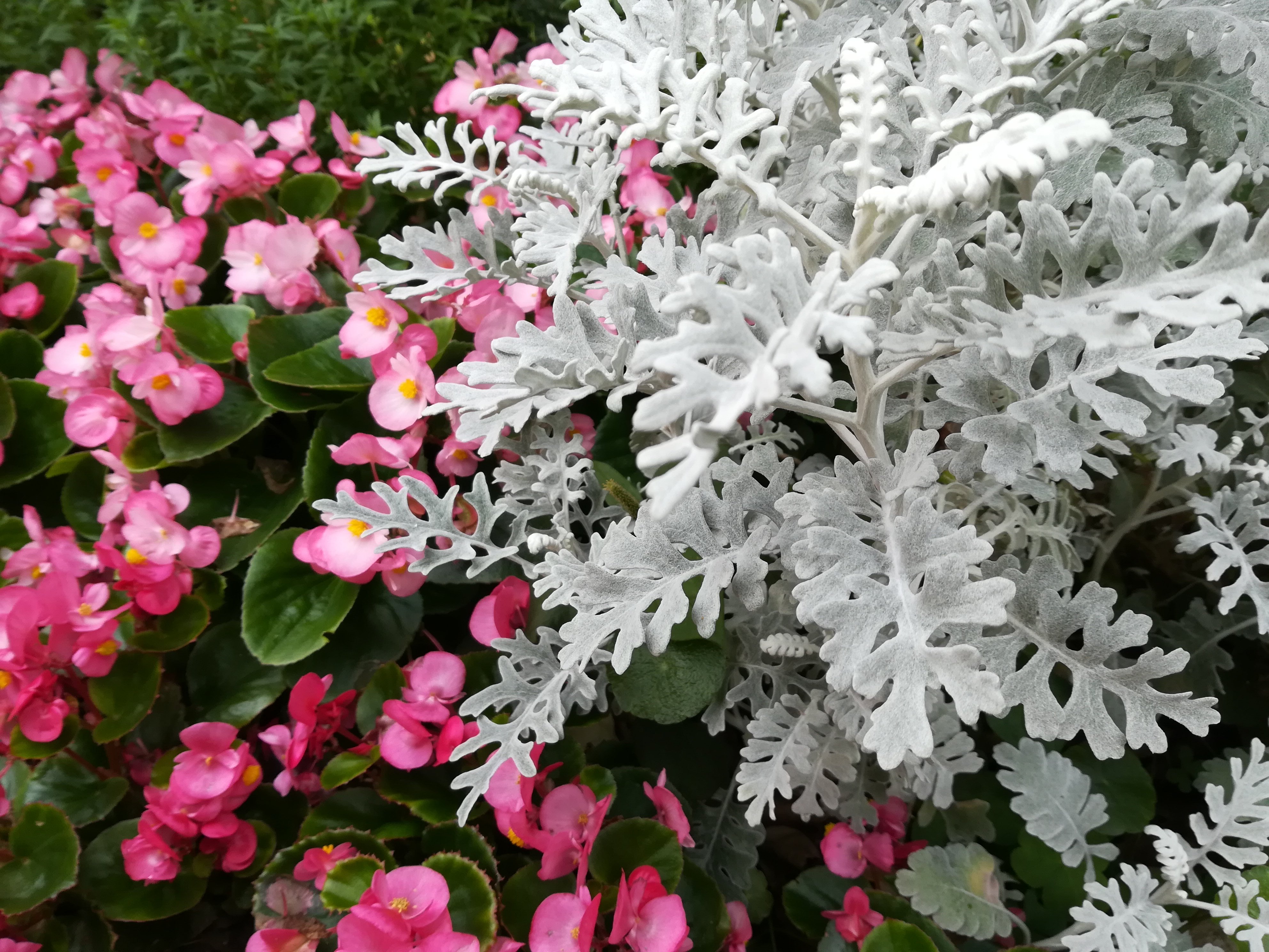 夜間の撮影サンプル