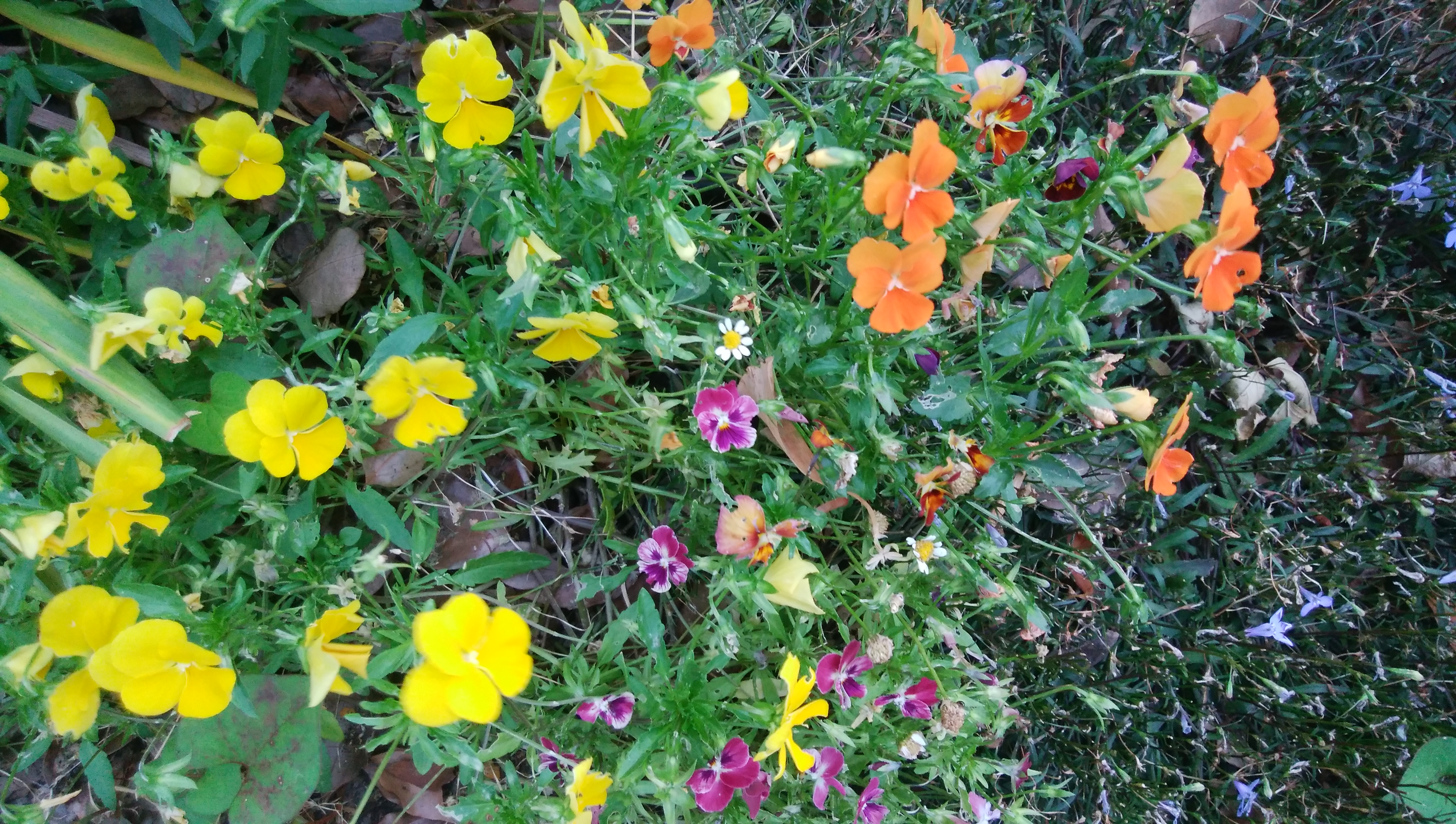 夕暮れ時に撮影