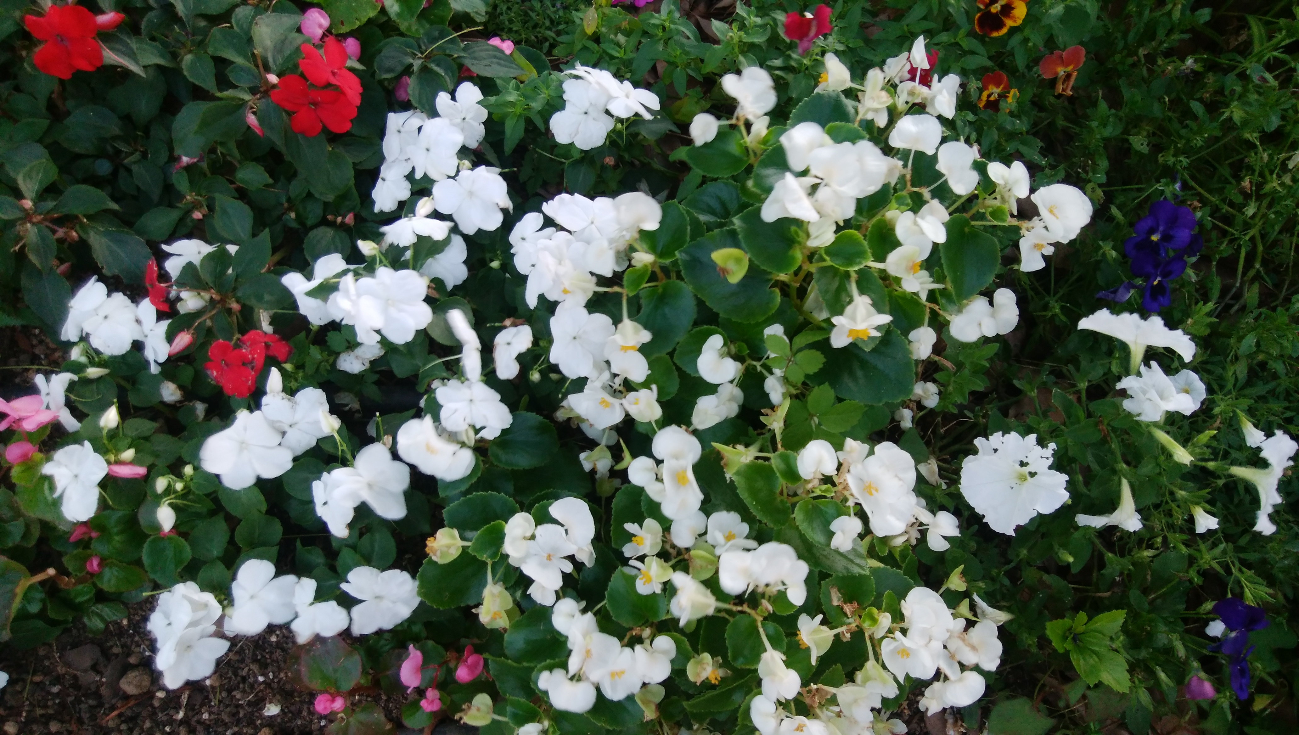 夕暮れ時に撮影